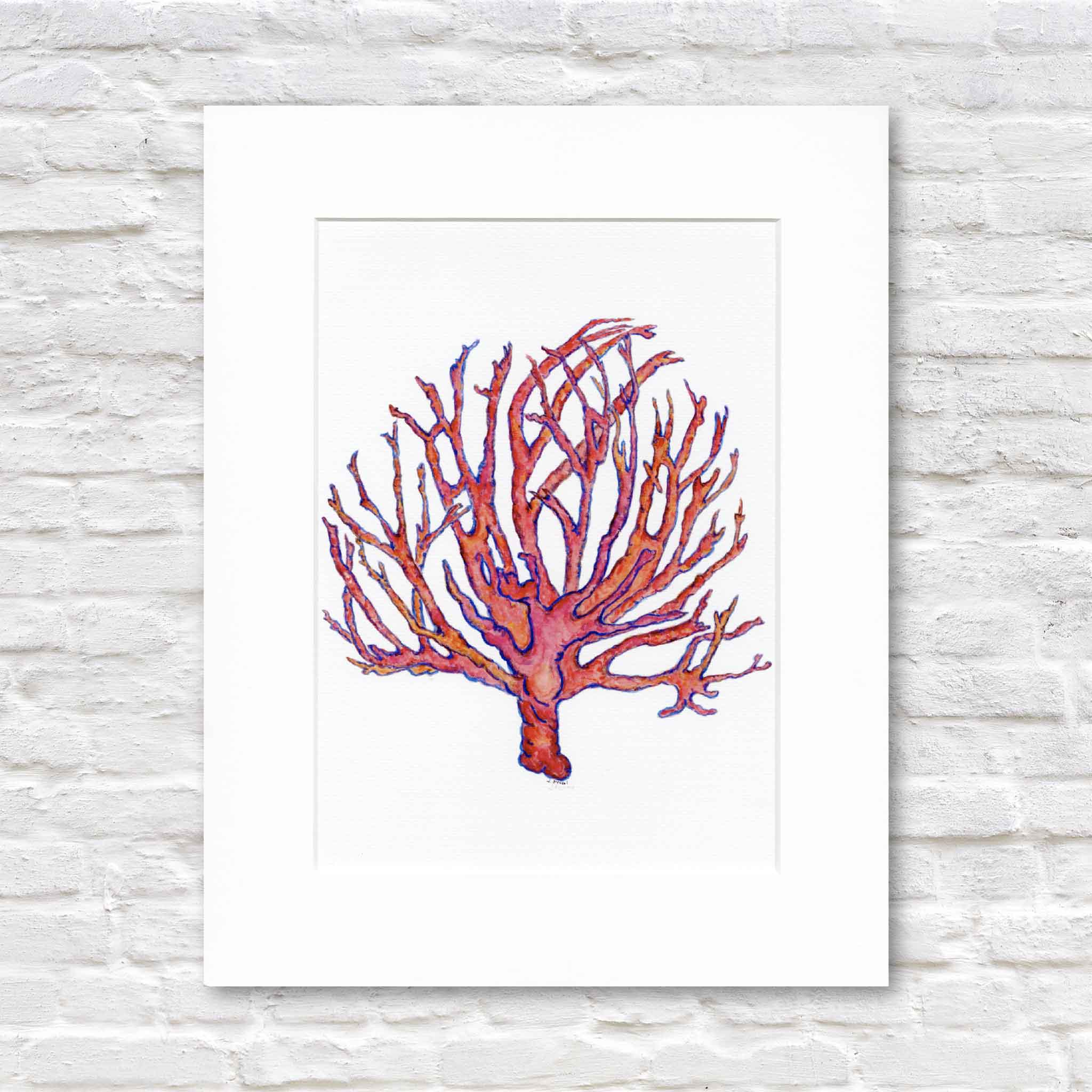 coral artwork by local artist in lowcountry Pawleys Island sc matted to a standard size