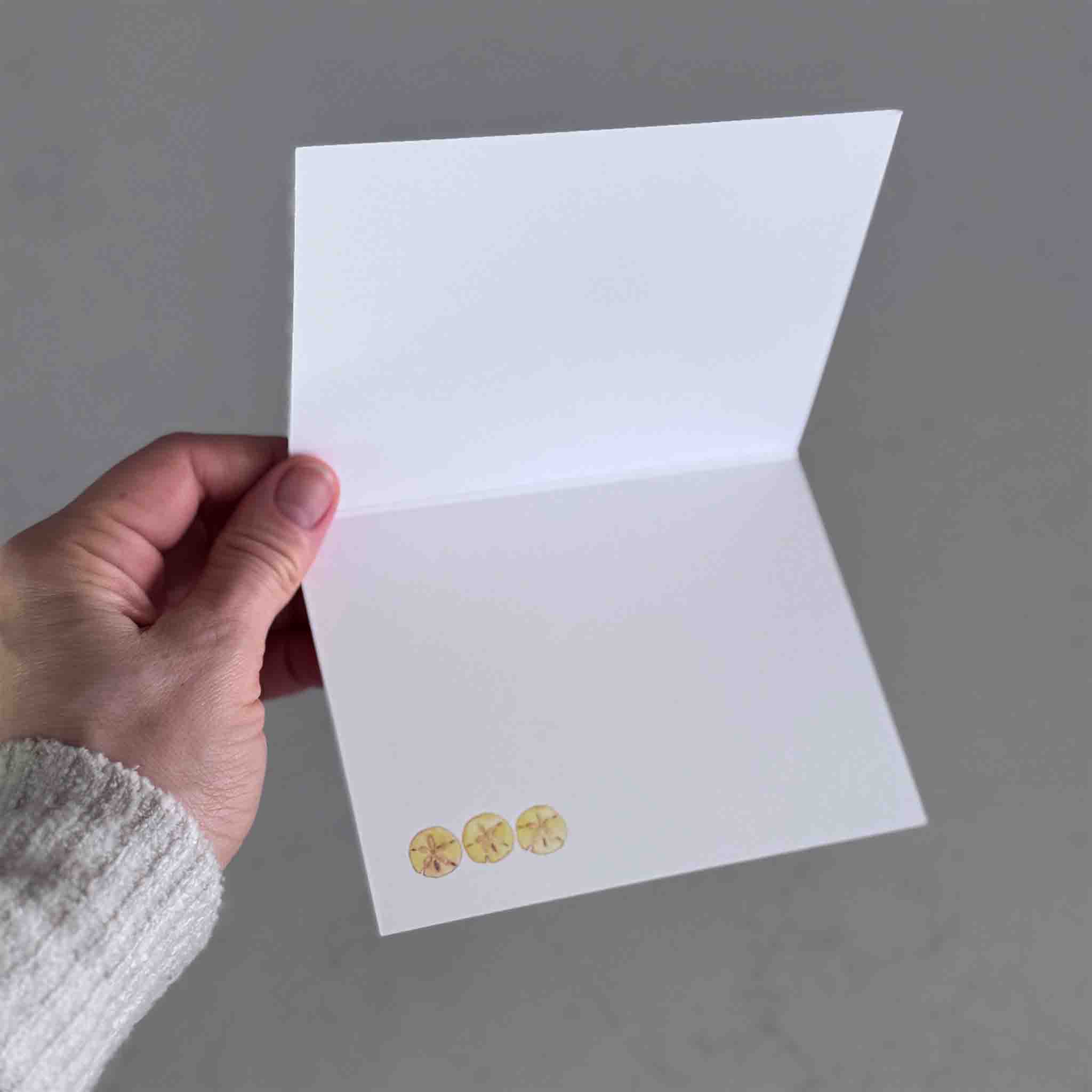 Tarpon (notecards)
