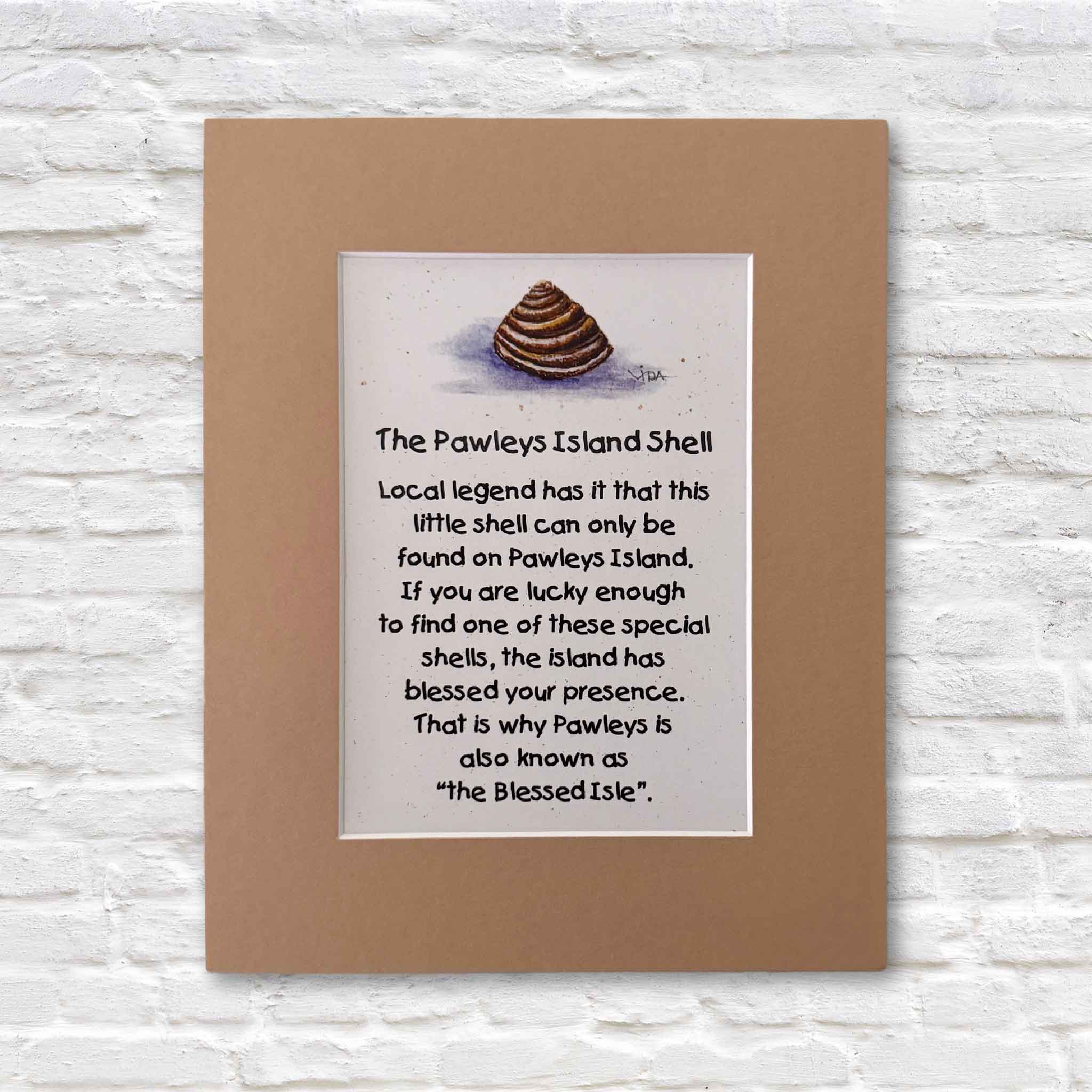 Gray Man Gallery_Pawleys Island Shell legend print