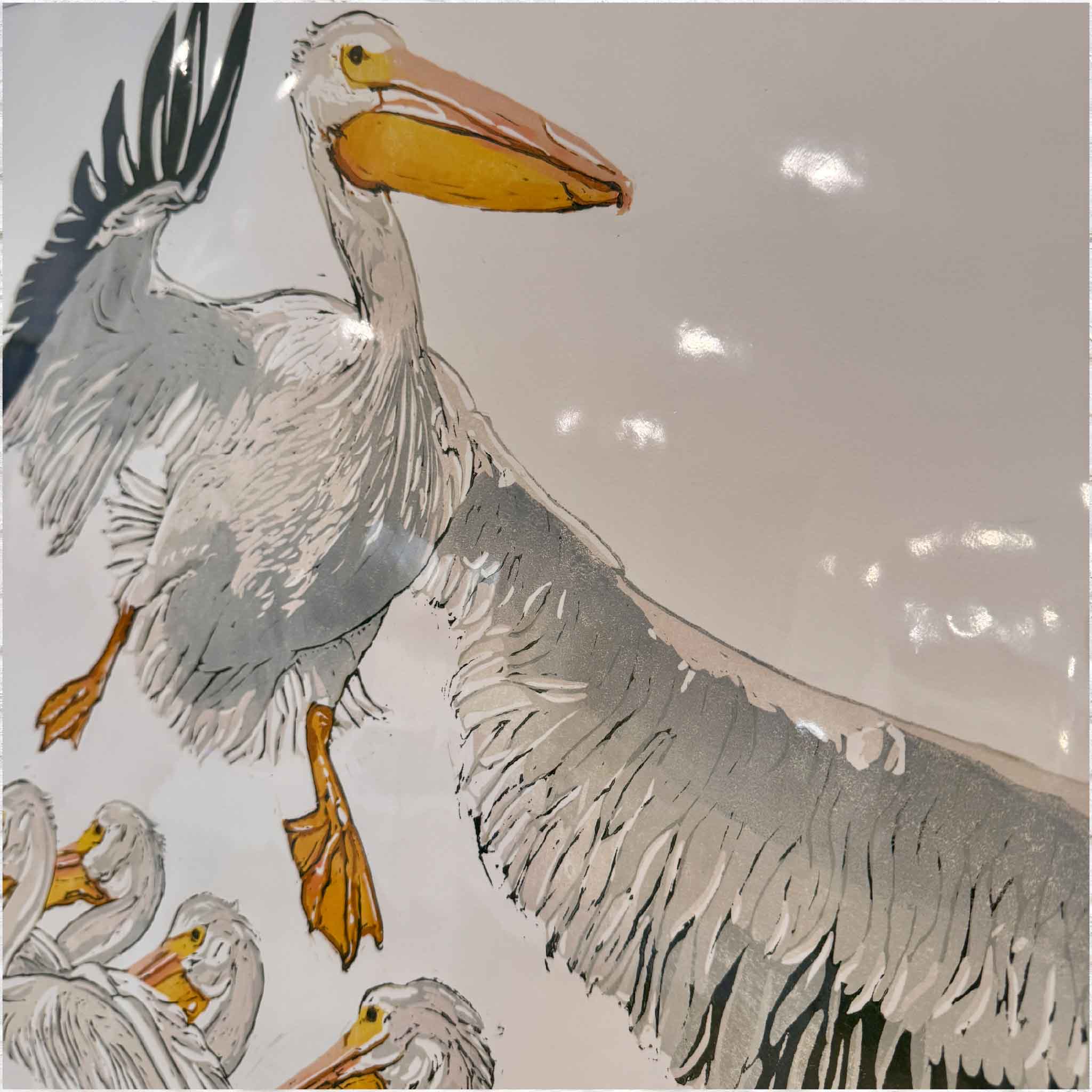 pelicans original art lowcountry Camden South Carolina Pawleys Island