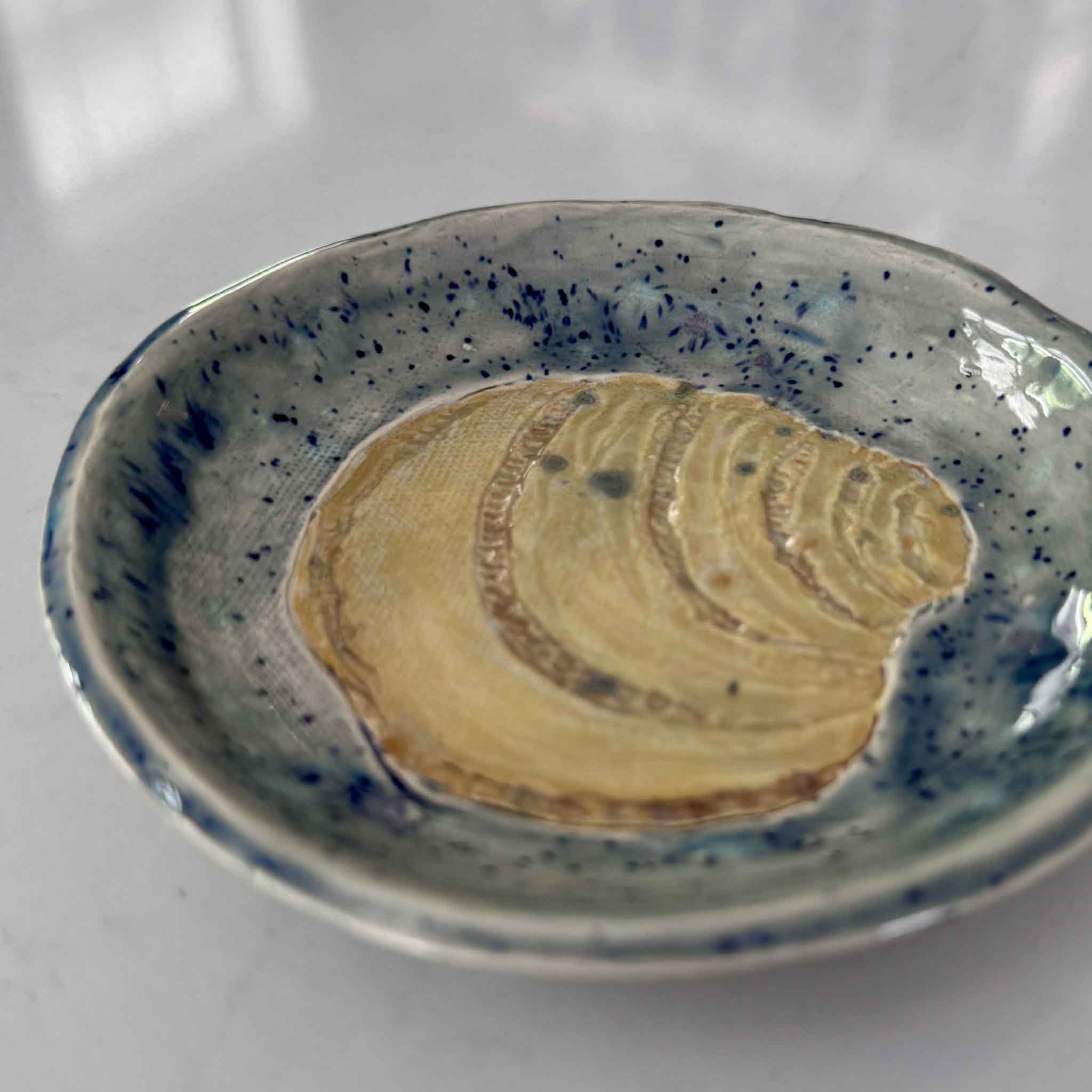 blue pottery dish with pawleys island shell design