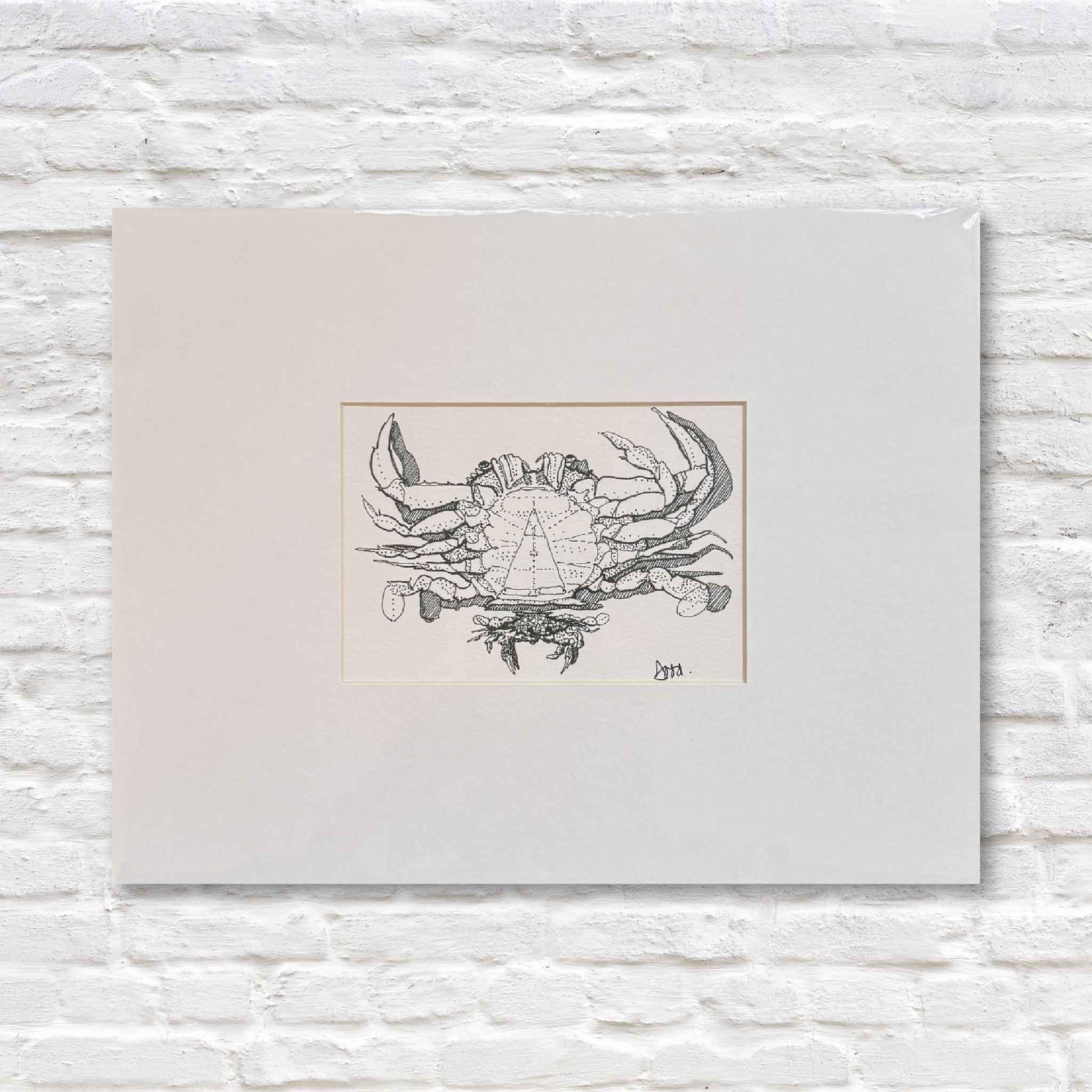 Print of a black ink drawing of a blue crab with a white matte against a white brick wall