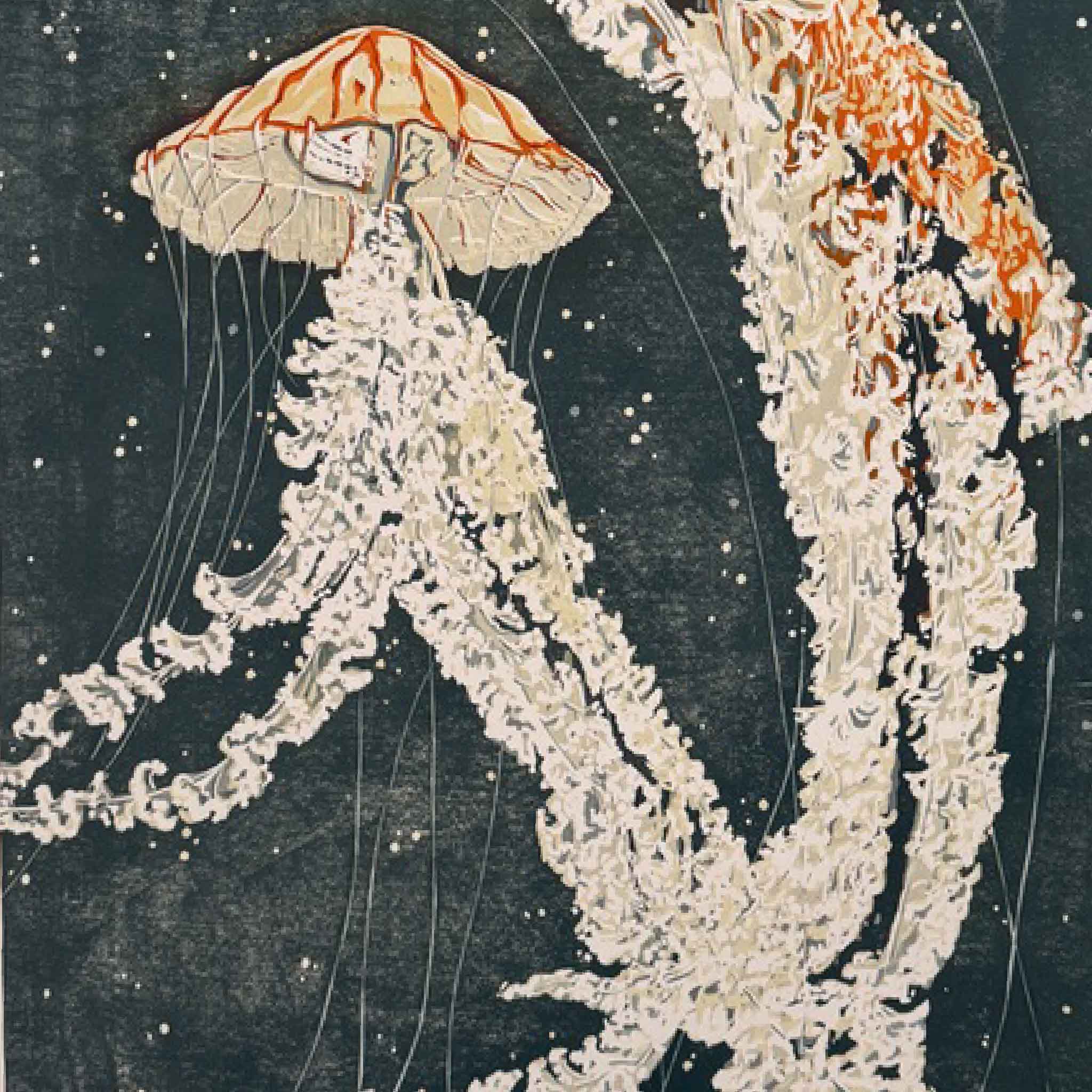 Laurie McIntosh blue ribbon linocut print Jelly Dance, jellyfish in coral and ivory tones on indigo background, archival fine art marine print