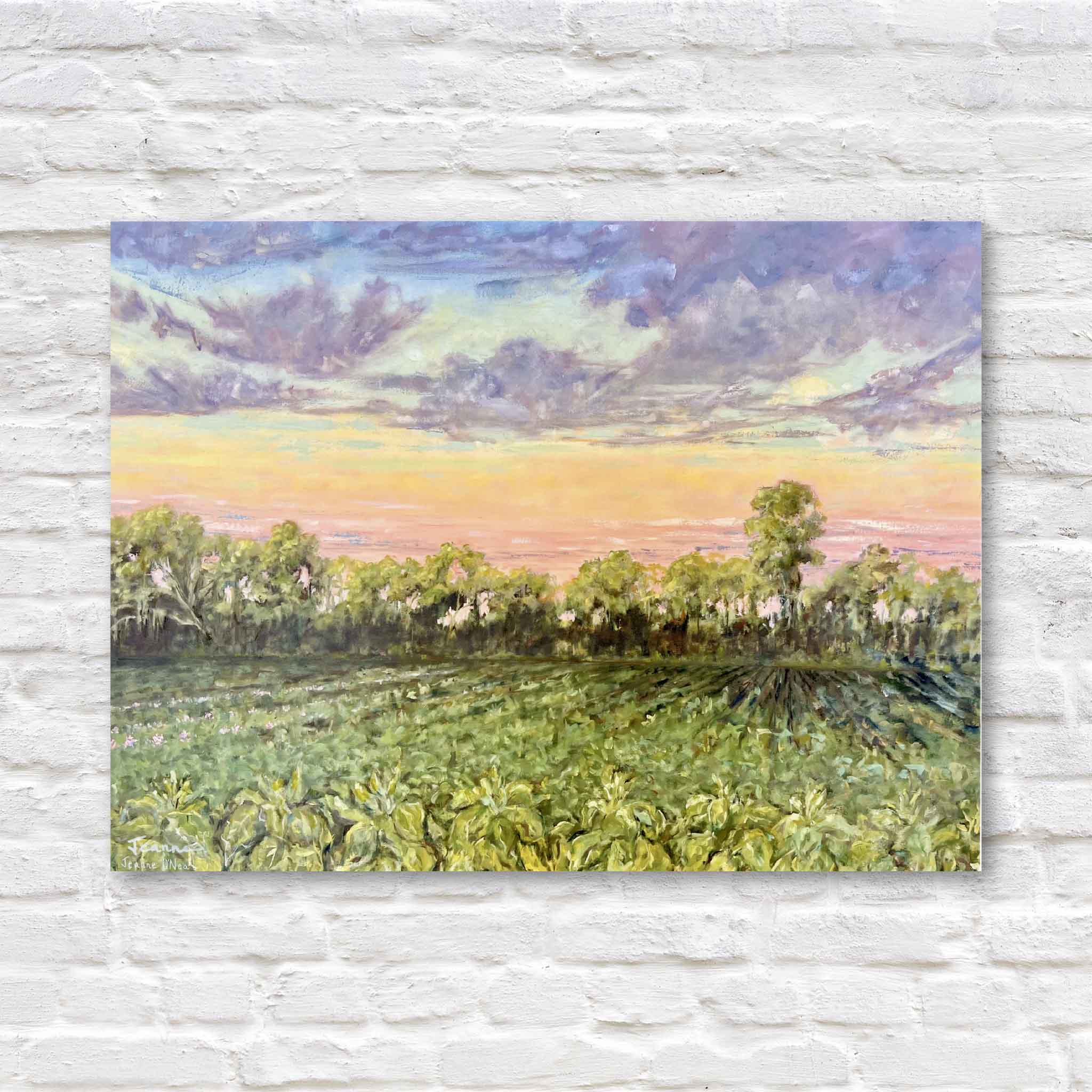 Jeanne O’Neal Tobacco Fields print showing a South Carolina farm landscape at sunset with rows of green crops and a colorful sky