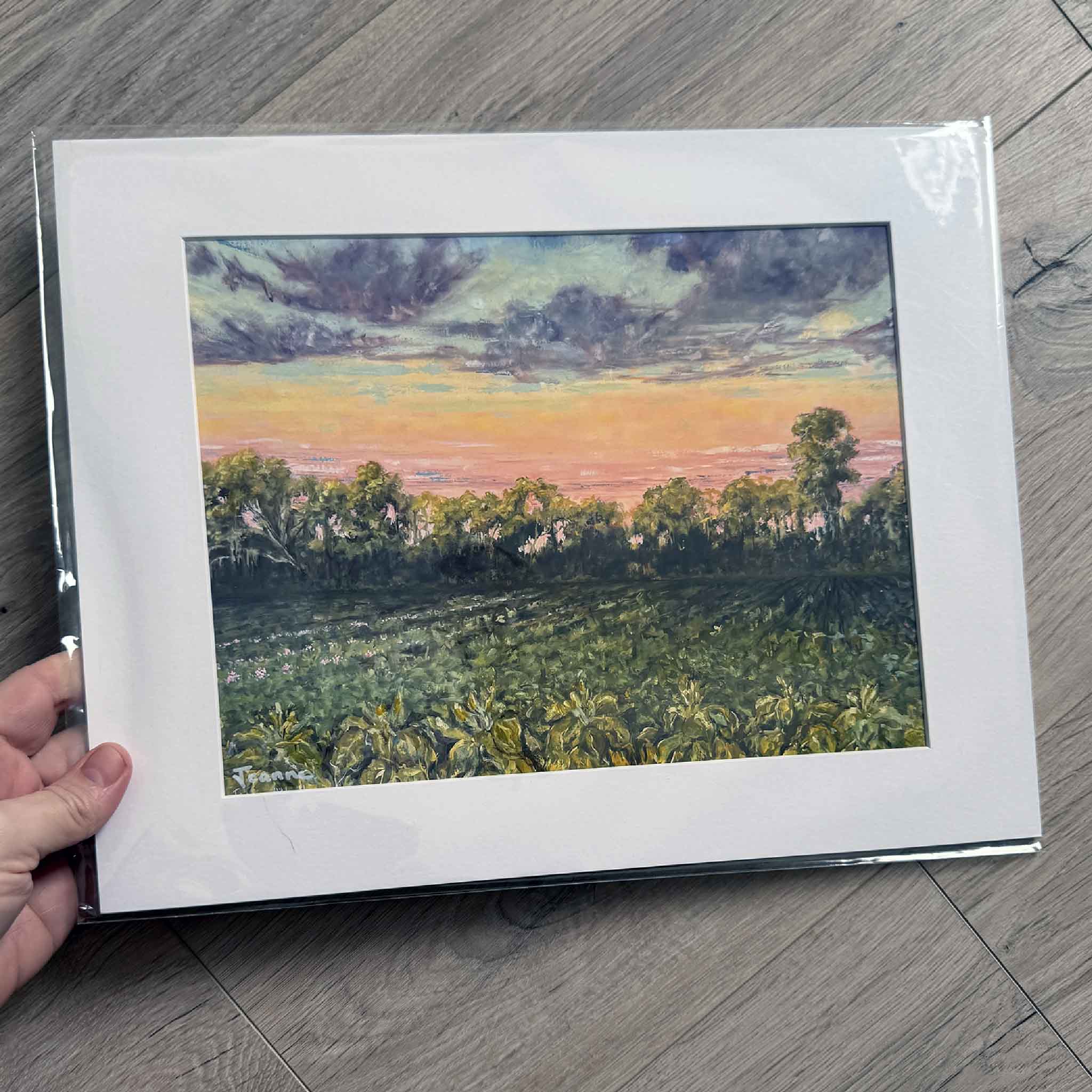 Matted art print of Tobacco Fields by Jeanne O’Neal, featuring rows of green tobacco plants beneath a golden Lowcountry sunset sky — available at Gray Man Gallery.
