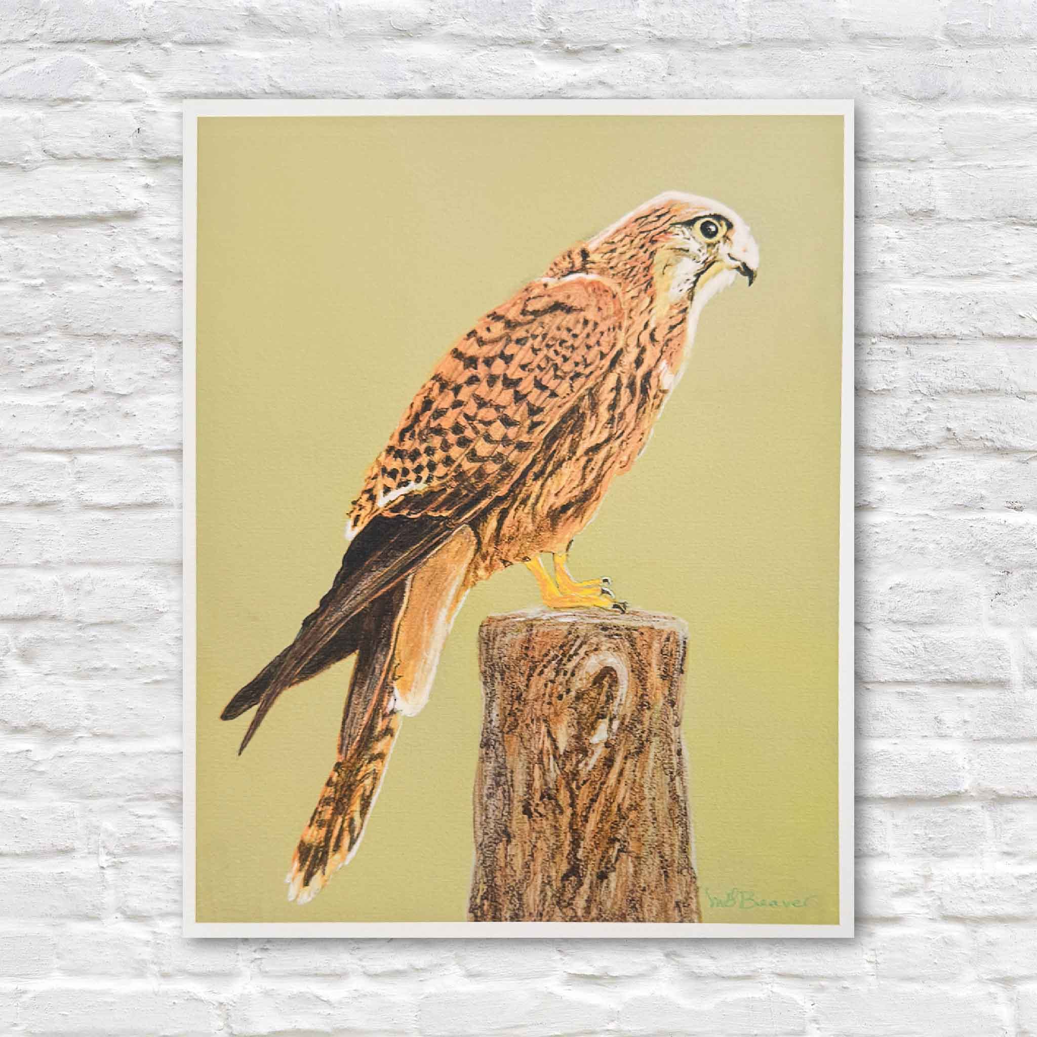 Print of an American kestrel on a wooden post in warm tones, by Mimi Beaver, in standard 8.5x11 size and donated to support senior dogs.