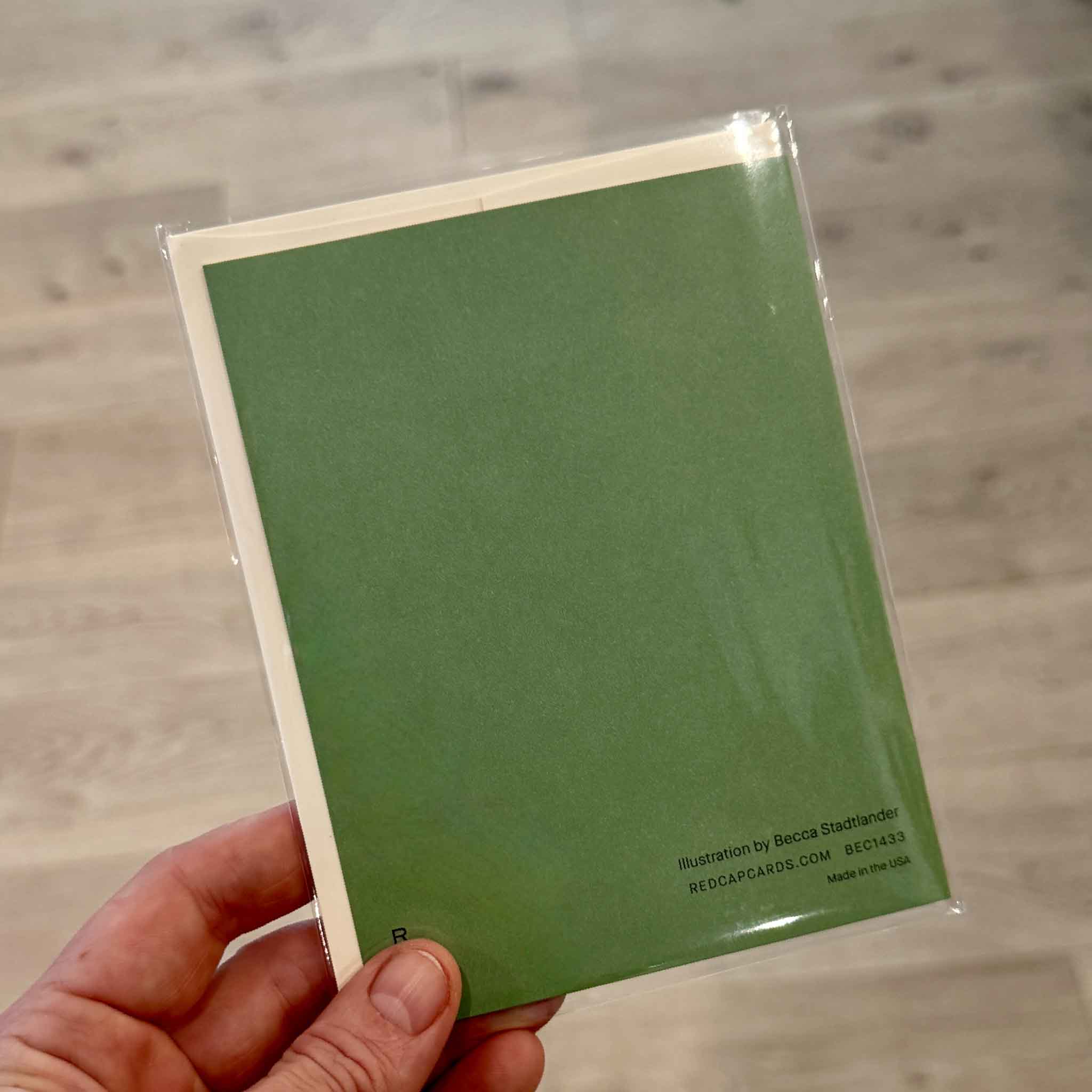 Back of the Orange Tiger Birthday greeting card by Becca Stadtlander from Red Cap Cards, photographed inside Gray Man Gallery in Pawleys Island, South Carolina. The back shows the solid green design with artist and publisher information on this premium recycled greeting card.