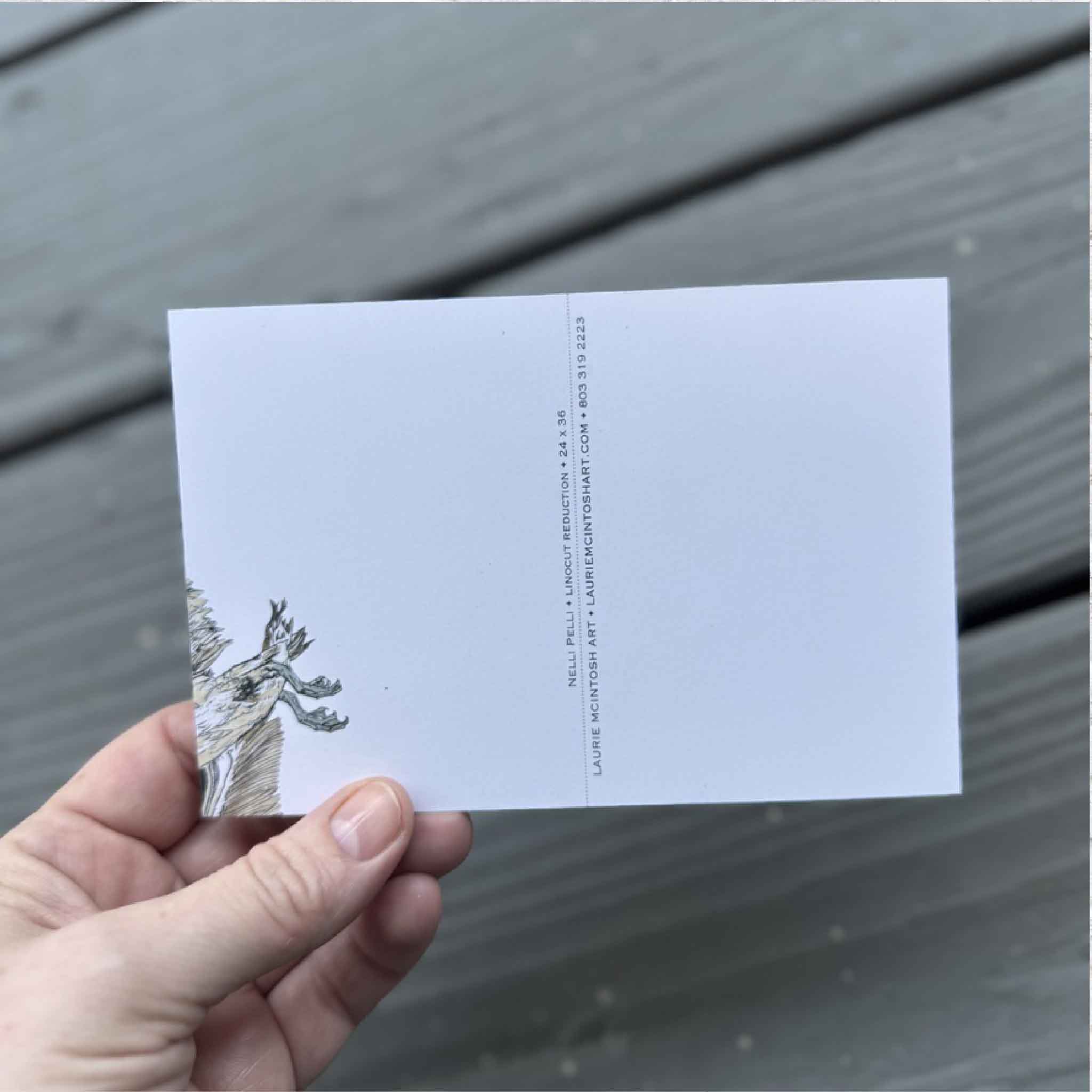 Set of five Laurie McIntosh postcards featuring Jelly Dance, Git Dat Net, Nelli Pelli, A Dozen Happy Hounds, and White Pelicans from her original linocut reduction series, printed on matte cardstock.