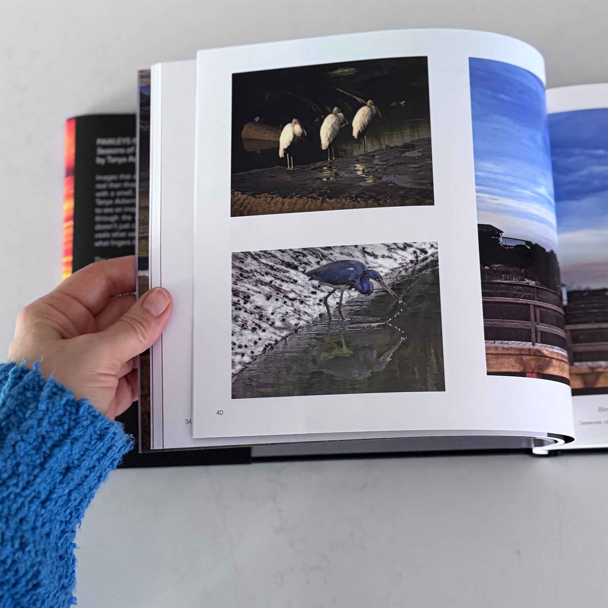 Interior pages from Pawleys Island: Seasons of Light by local artist Tanya Ackerman, showcasing coastal photography of the Lowcountry, available at Gray Man Gallery.