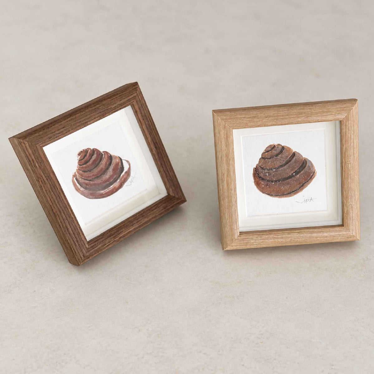 Two signed original Pawleys Island shell watercolor paintings by Vida Miller displayed in petite light and dark wood shadowbox frames, available at Gray Man Gallery in Pawleys Island, South Carolina.