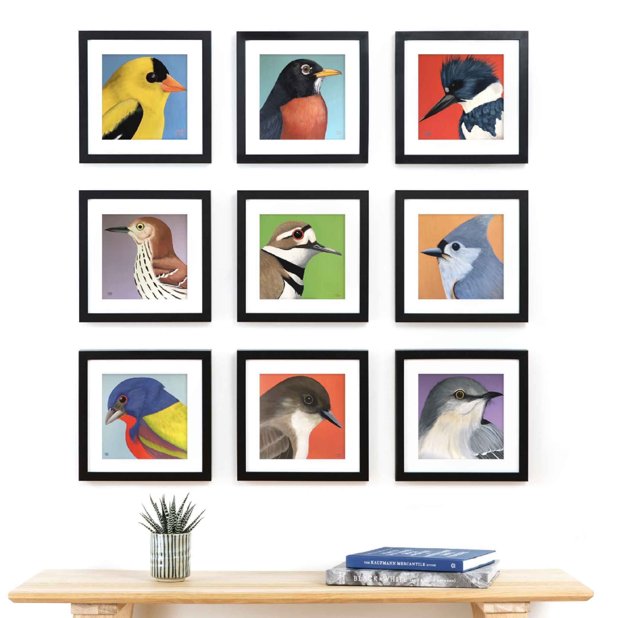 Local artist Nancy Jones Lowe's collection of colorful bird prints displayed in standard ready-made frames, demonstrating how these archival fine art prints can be mixed and matched to create an easy, professionally finished gallery wall.