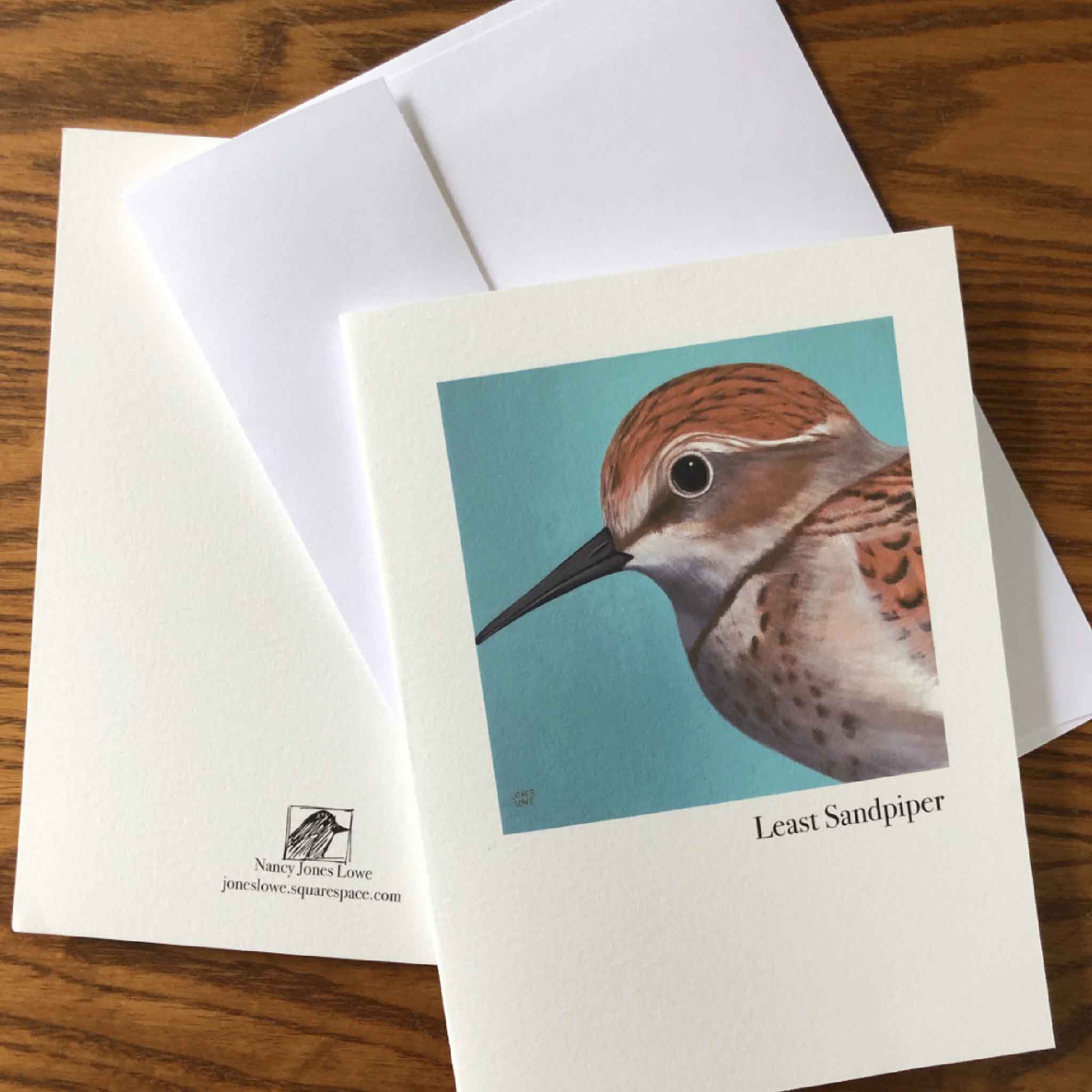 Folded Least Sandpiper blank notecard with matching envelope featuring original artwork by Georgetown artist Nancy Jones Lowe, part of the Lowcountry Shore Birds Notecard Set available at Gray Man Gallery in Pawleys Island, South Carolina.