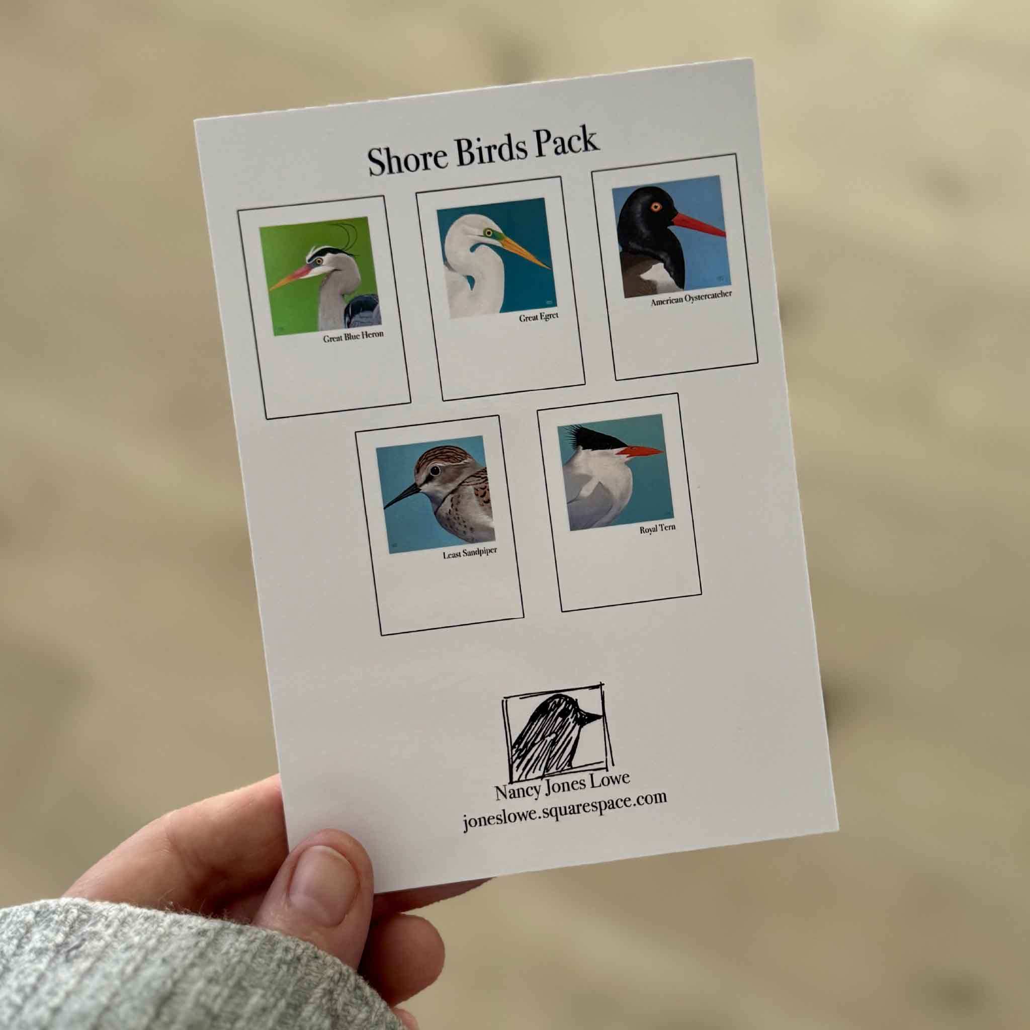 Back of the Nancy Jones Lowe Lowcountry Shorebirds Notecard Set showing all five included bird designs—Great Blue Heron, Great Egret, American Oystercatcher, Least Sandpiper, and Royal Tern—available at Gray Man Gallery in Pawleys Island, South Carolina.