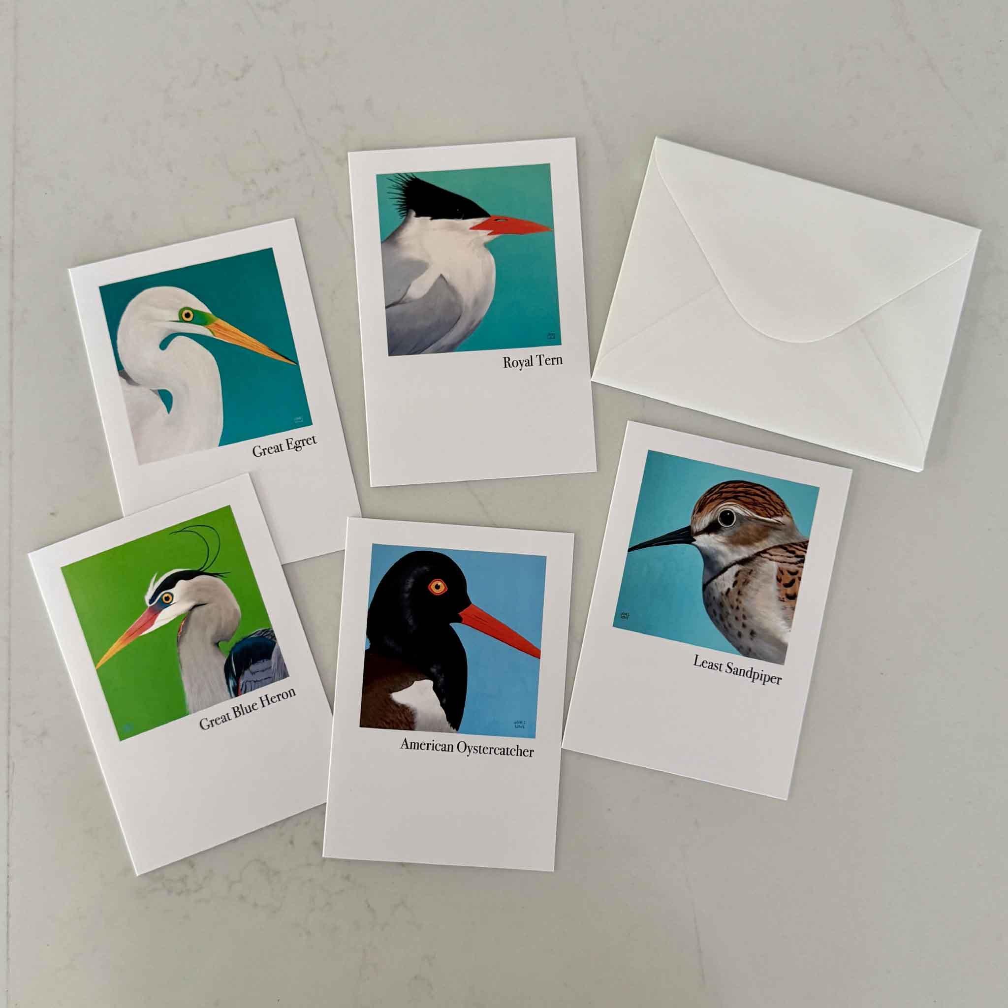 Nancy Jones Lowe Lowcountry Shorebirds Notecard Set at Gray Man Gallery featuring five different folded 4x6 blank notecards with matching envelopes, each showcasing an original bird portrait of a Great Blue Heron, Great Egret, American Oystercatcher, Least Sandpiper, and Royal Tern inspired by the South Carolina Lowcountry.