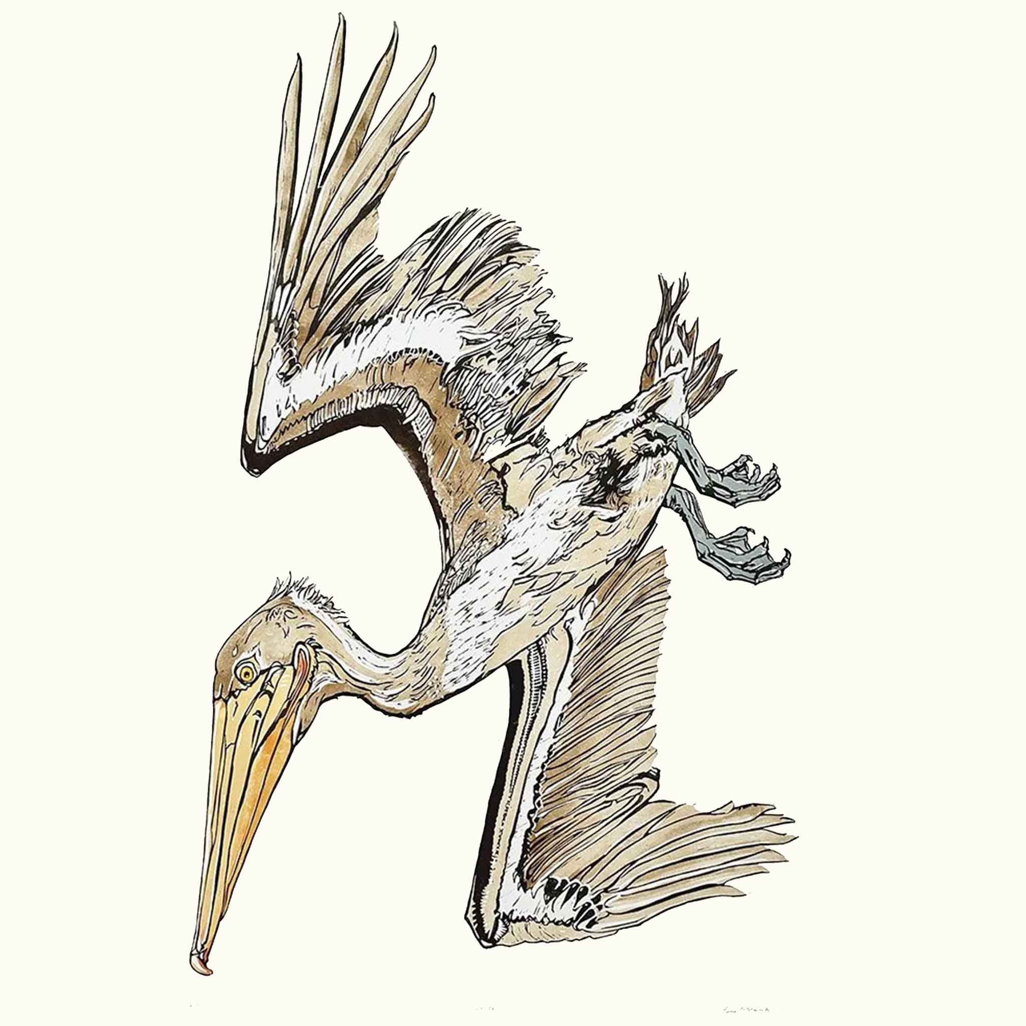 pelican skims the water in search of her next catch. With wings outstretched and a gaze that means business. original linocut.