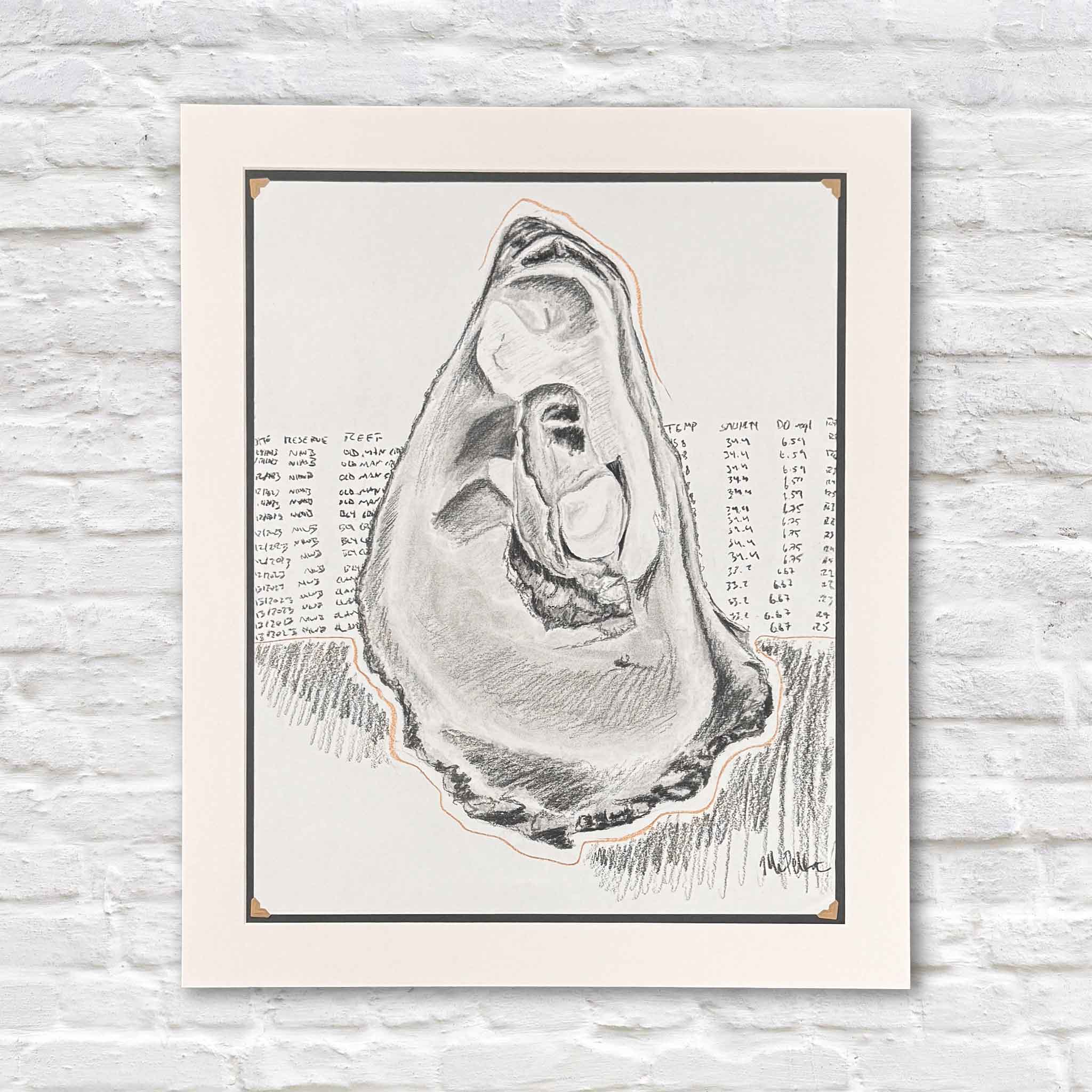 Original charcoal drawing titled “North Inlet Oyster,” depicting a detailed oyster form rendered in expressive graphite tones, inspired by water quality research in South Carolina’s North Inlet estuary, photographed flat to show composition, texture, and line work at Gray Man Gallery in Pawleys Island