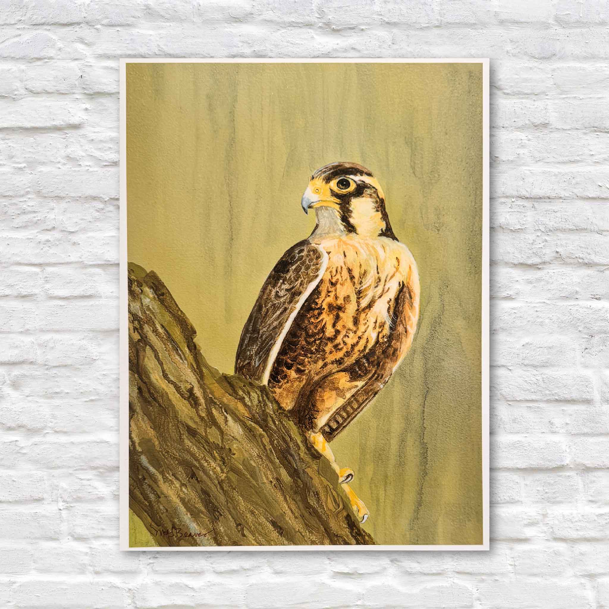 Standard-size 8.5x11 print of a peregrine falcon perched on a rocky ledge, by Mimi Beaver, donated to benefit senior dogs.