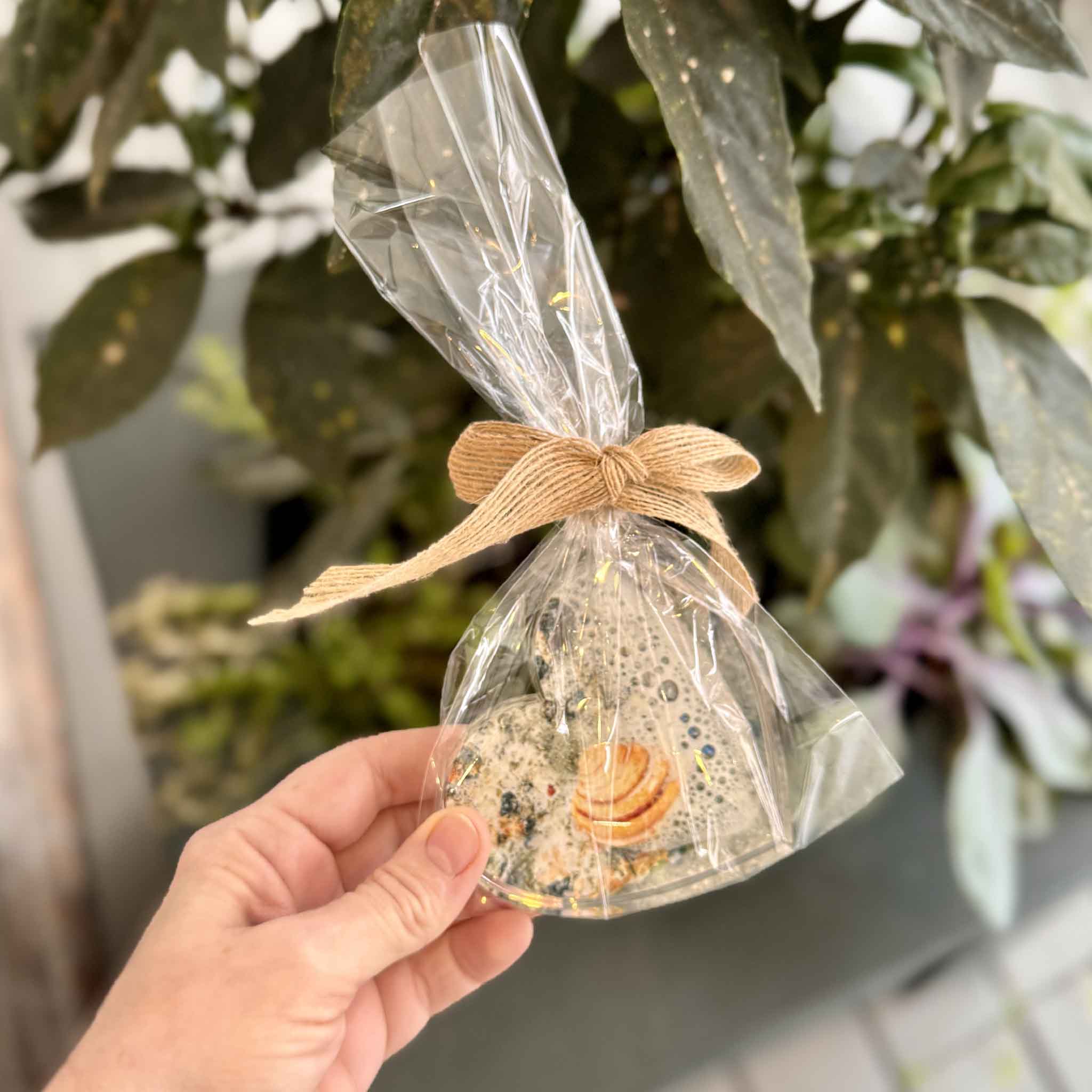A heart-shaped acrylic block featuring the Pawleys Island Shell by local photographer Tanya Ackerman, displayed at Gray Man Gallery in Pawleys Island, South Carolina, held for scale.