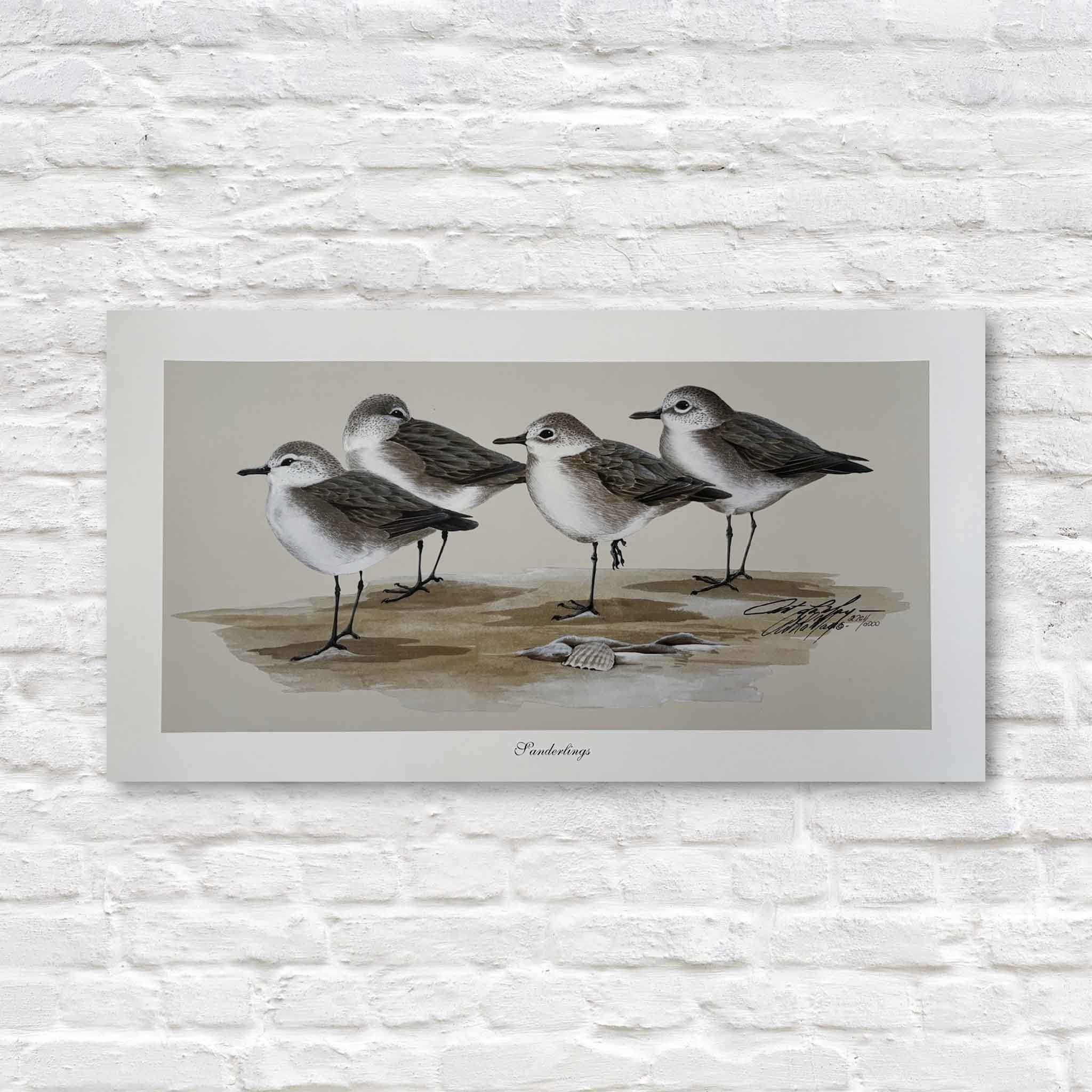 Signed wildlife print of sanderlings by artist Art LaMay, featuring detailed coastal shorebirds on sand — available at Gray Man Gallery in Pawleys Island