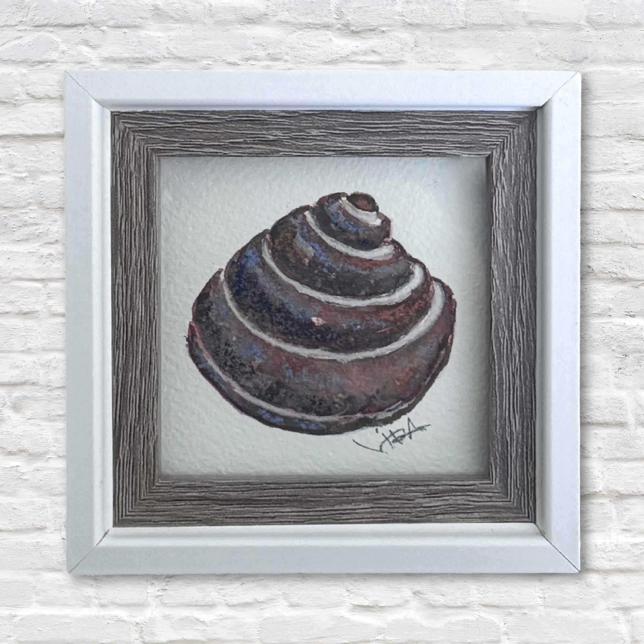 Framed artwork of a Pawleys Island shell on a textured white wall