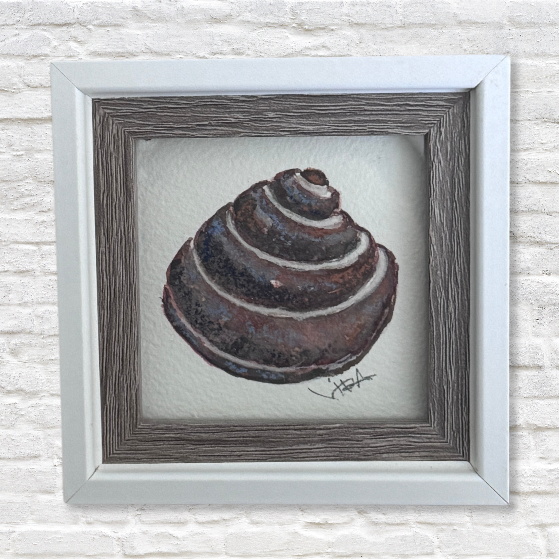 Gray Man Gallery_pawleys island shell watercolor artwork