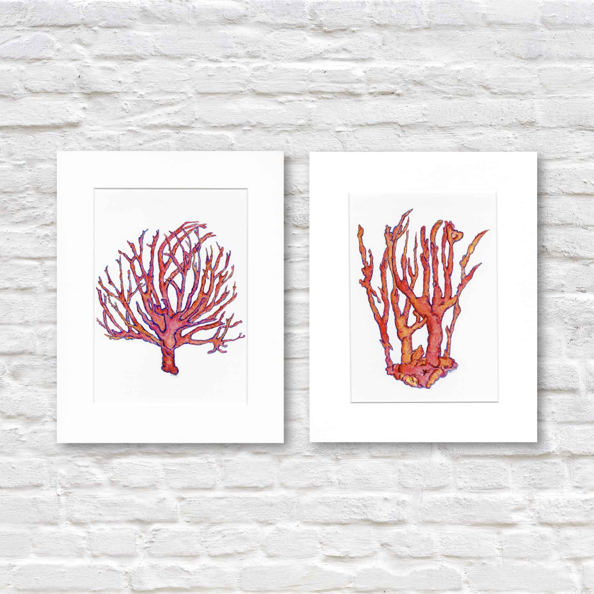 coral artwork by local artist in lowcountry Pawleys Island sc matted to a standard size