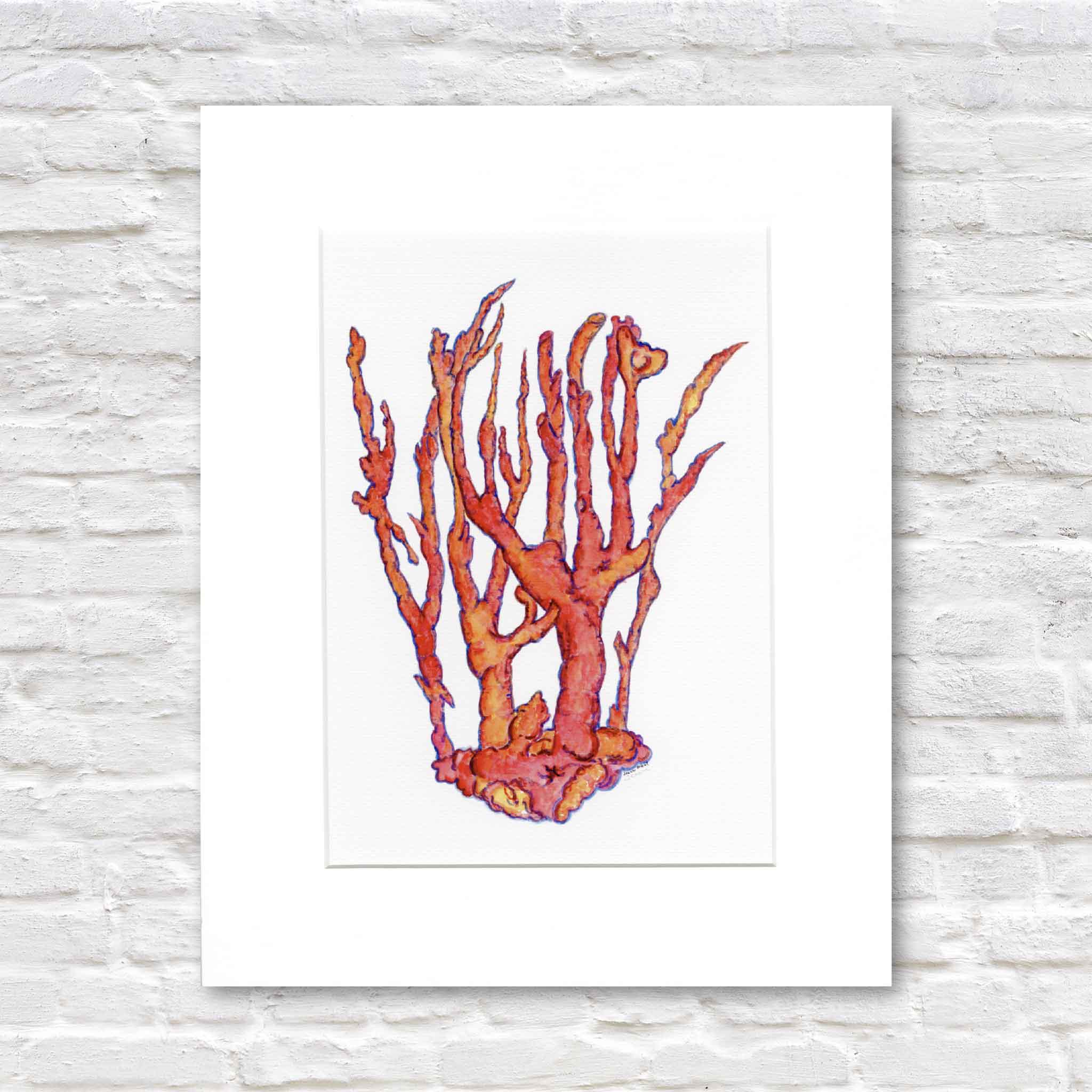 coral artwork by local artist in lowcountry Pawleys Island sc matted to a standard size