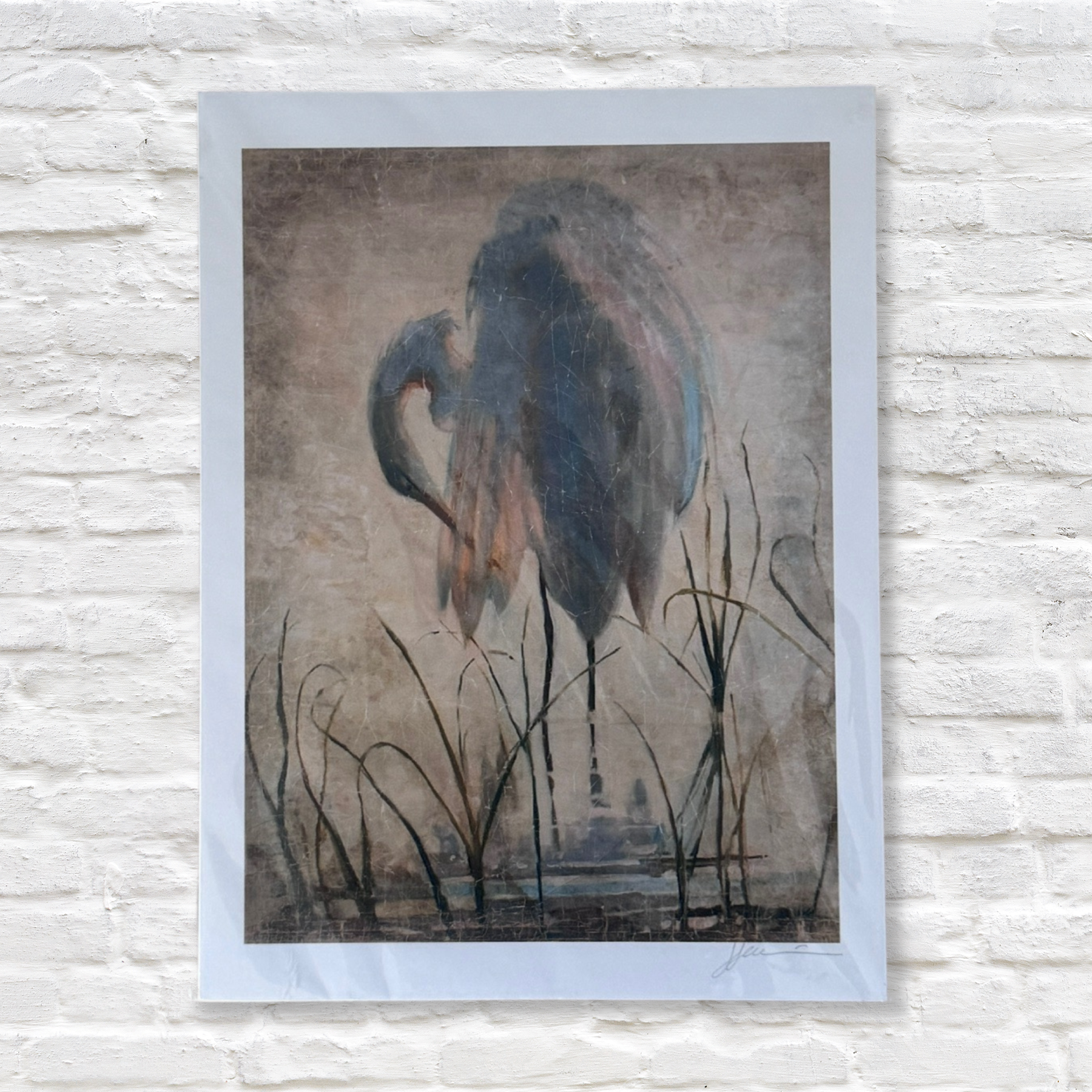 Gray man gallery_preening egret print