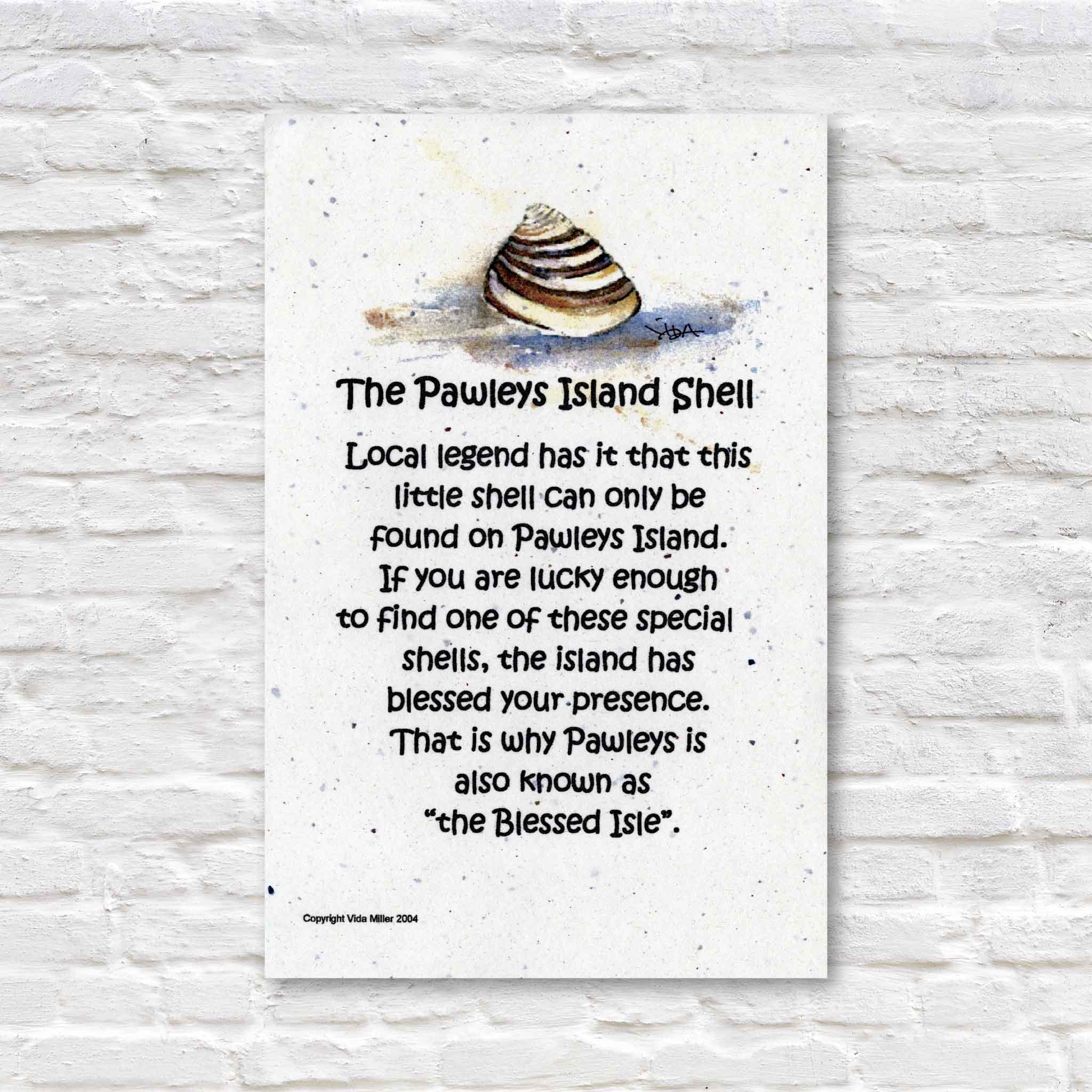 The legend of the Pawleys Island Shell in Georgetown, sc. print from original watercolor