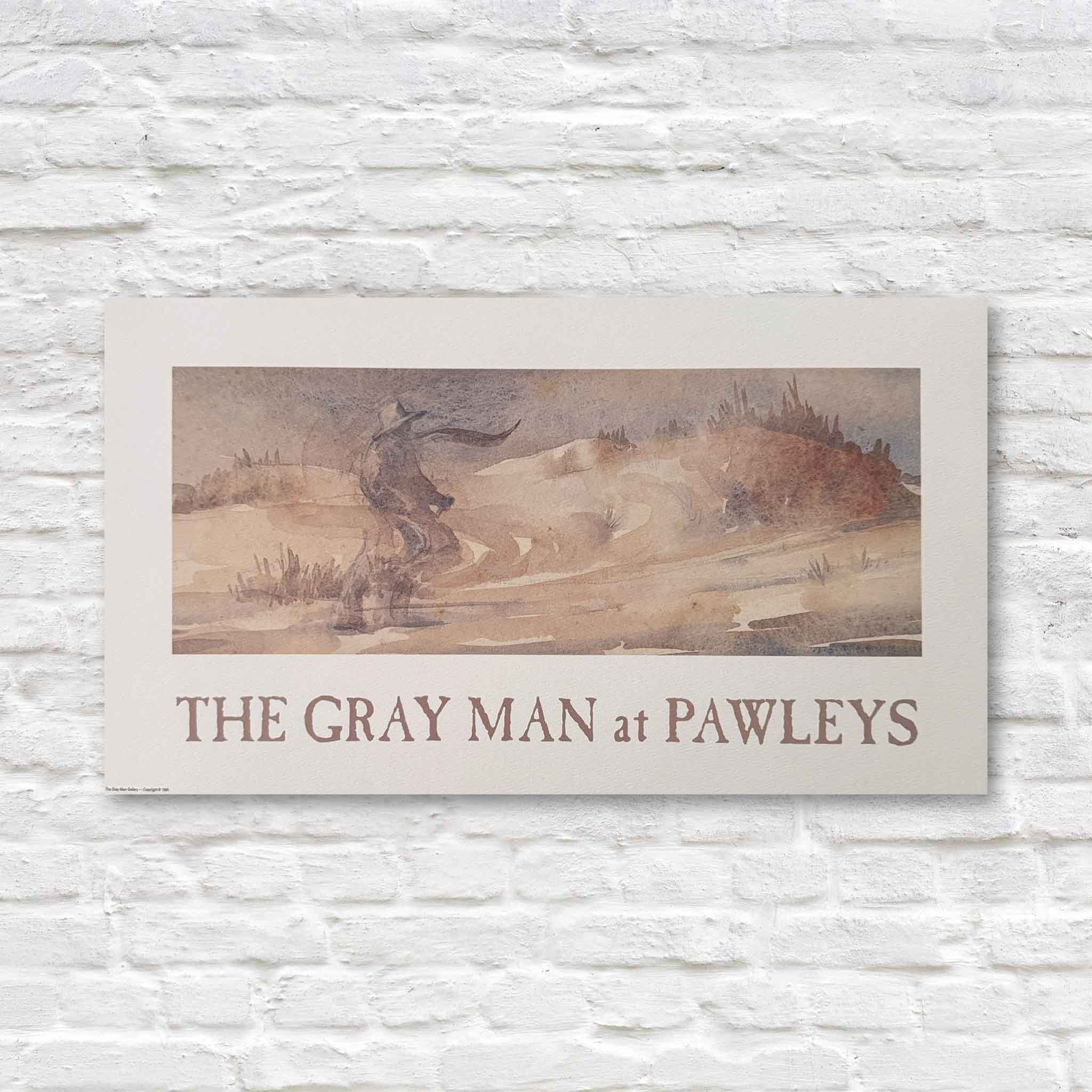 Poster of 'The Gray Man at Pawleys' on a textured white wall