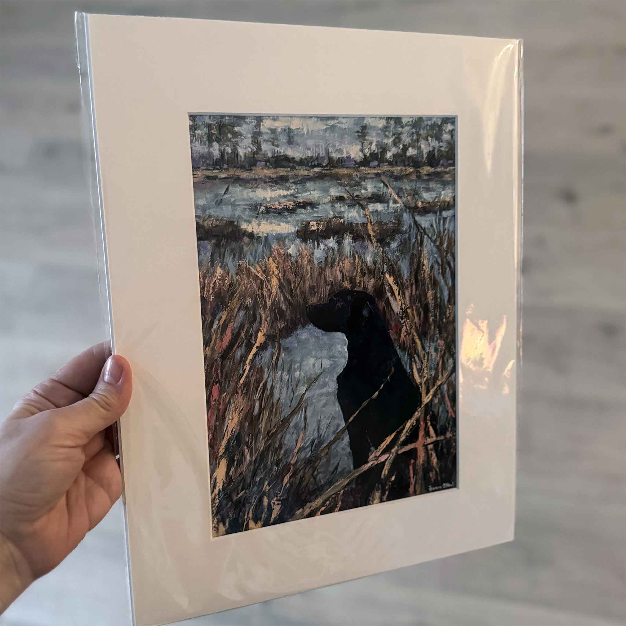 Eyes in the Sky giclée print by Jeanne O’Neal featuring a black Labrador in a South Carolina marsh, fine art coastal dog painting printed on archival paper and matted to 11x14
