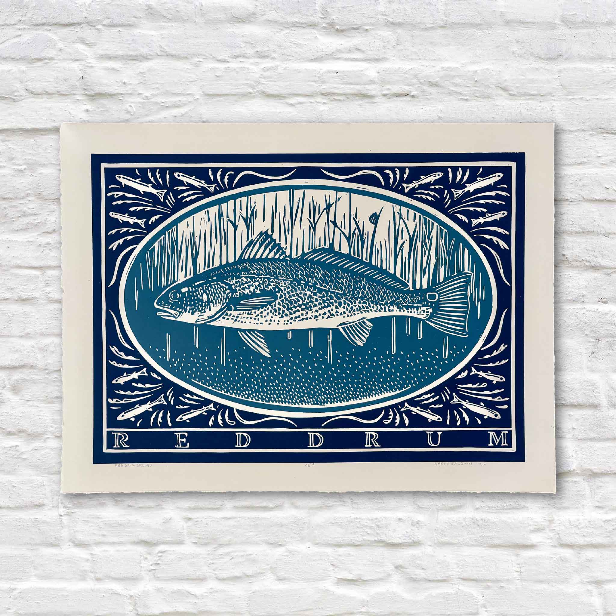 Red Drum by South Carolina artist Aaron Baldwin, an original hand-pulled linocut featuring a detailed red drum surrounded by schools of small baitfish in rich shades of blue, available at Gray Man Gallery in Pawleys Island, South Carolina.