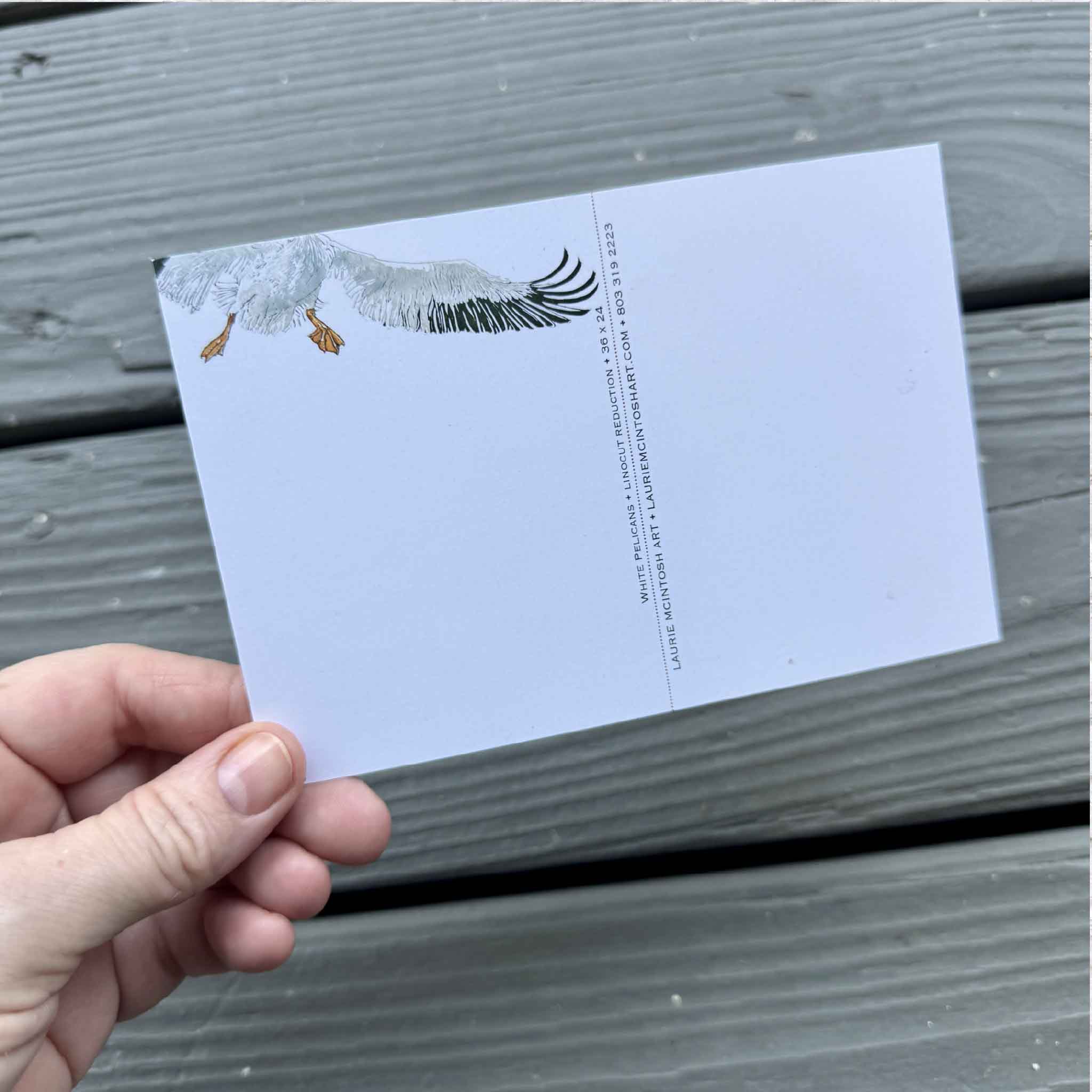 Set of five Laurie McIntosh postcards featuring Jelly Dance, Git Dat Net, Nelli Pelli, A Dozen Happy Hounds, and White Pelicans from her original linocut reduction series, printed on matte cardstock.