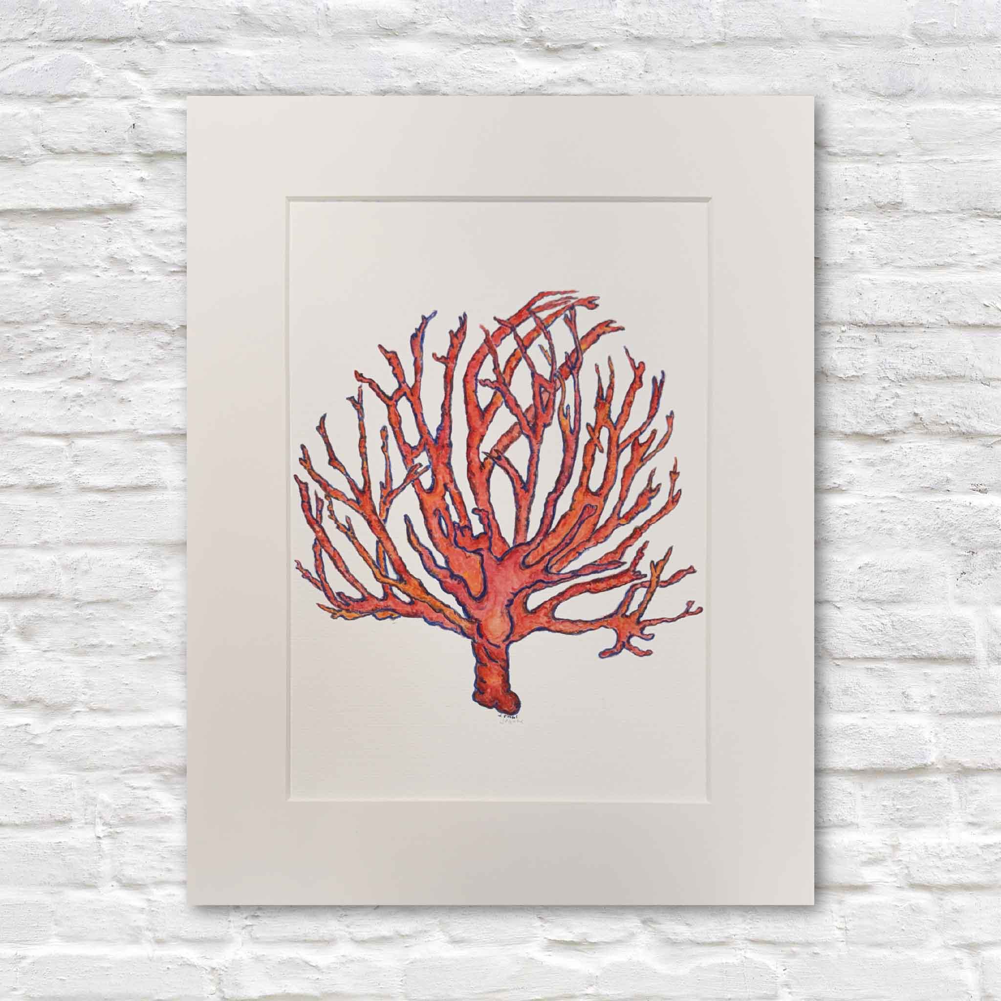 Fine art giclée print of Coral Study II by local artist Jeanne O’Neal, matted to fit an 11x14 frame at Gray Man Gallery in Pawleys Island, South Carolina
