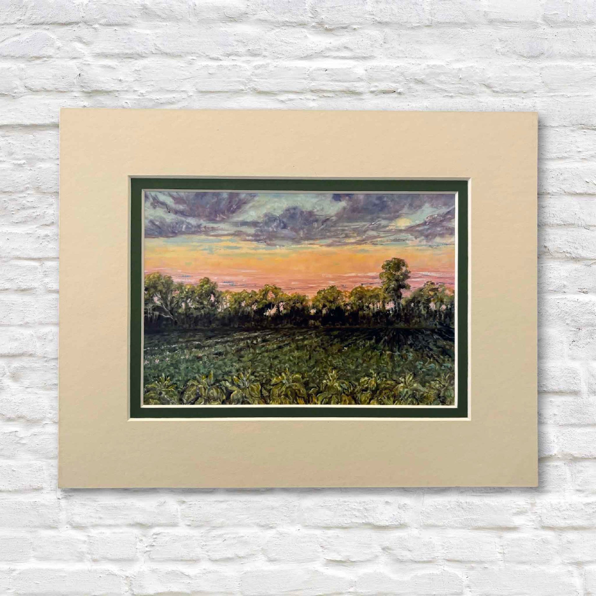 Tobacco Fields