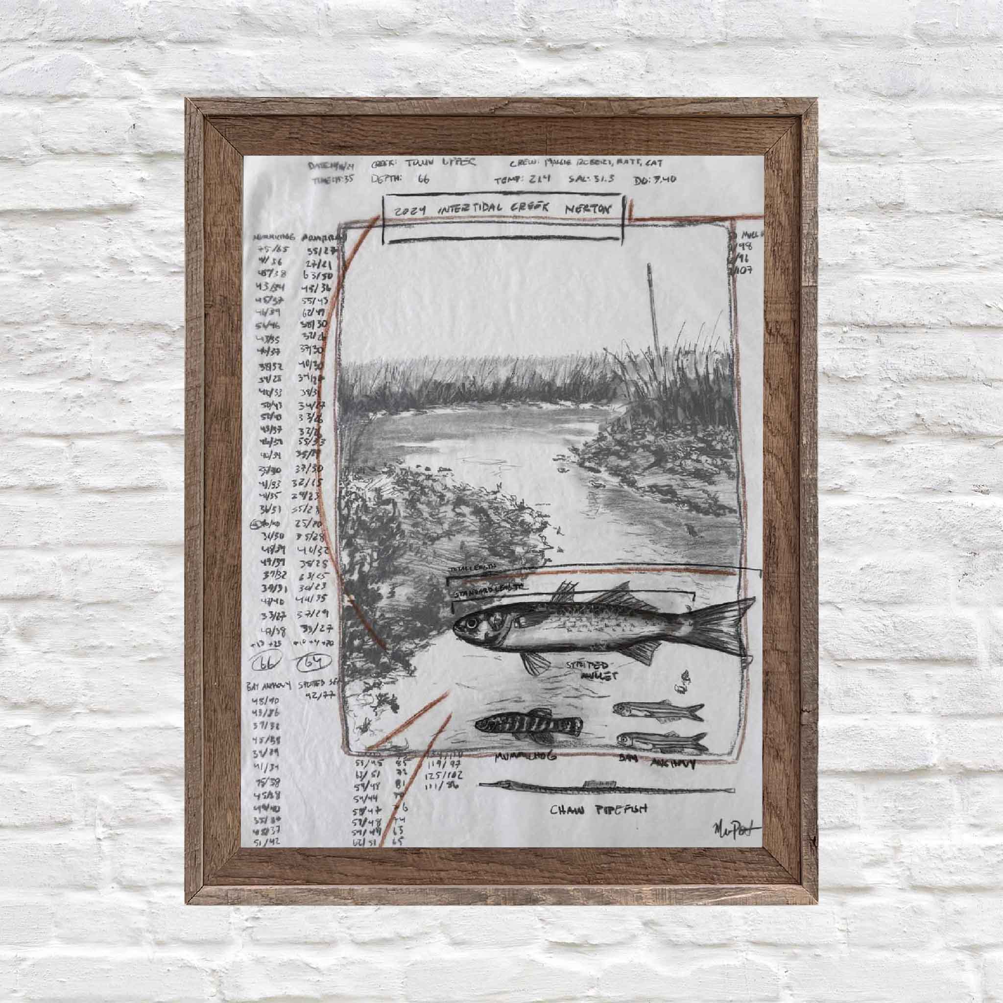 Intertidal Creek Nekton by Maggie Pelton shown framed in a standard-size frame to illustrate scale and presentation, with the original artwork unframed.