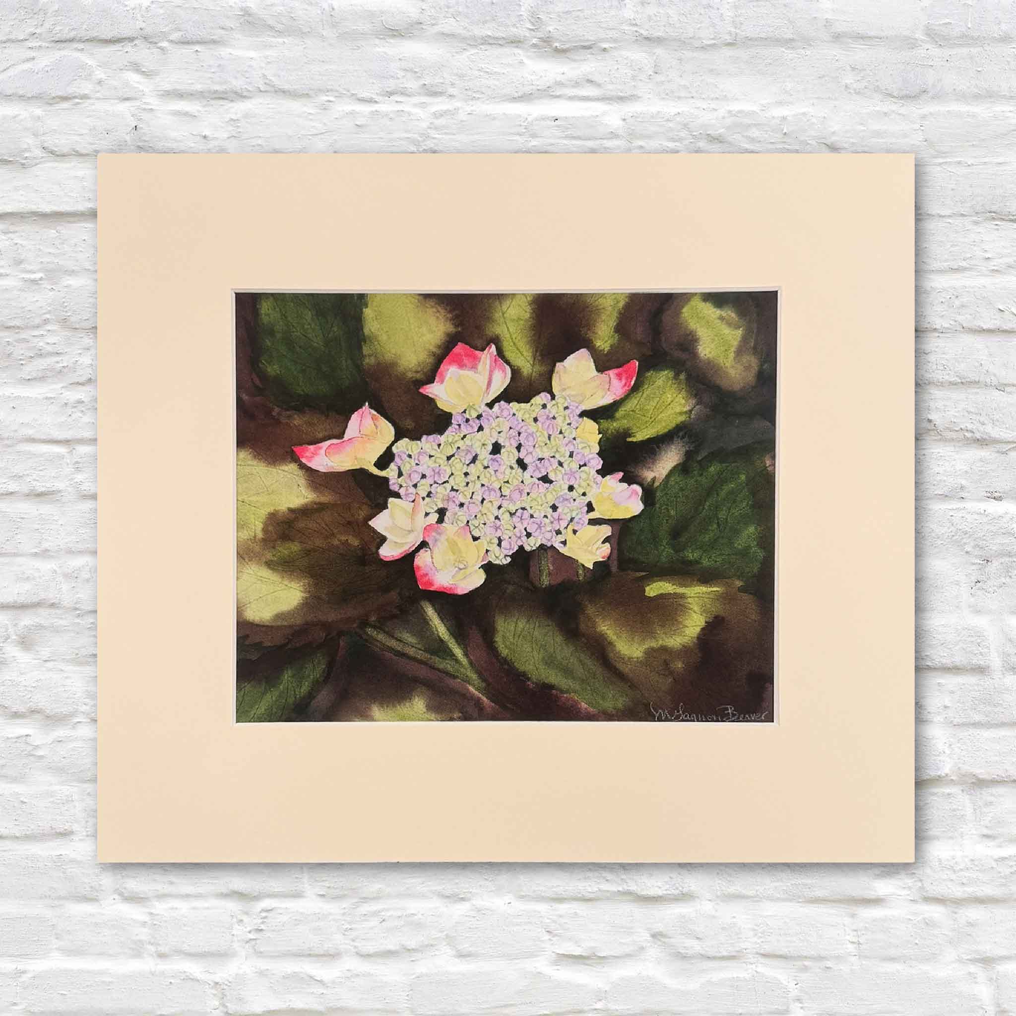 Print of Mimi Beaver’s hydrangea watercolor with pale lavender blooms and pink-tipped petals against deep green foliage, donated to support senior dogs.