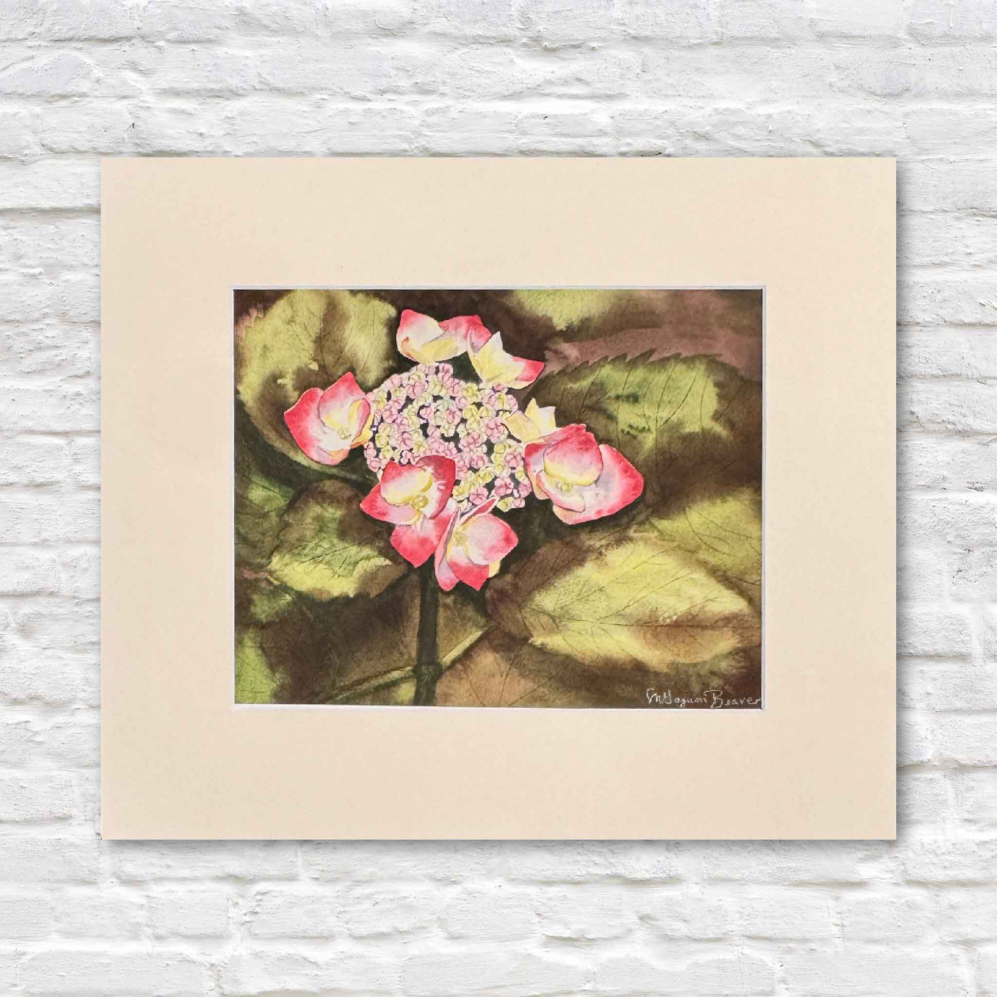 Print of Mimi Beaver’s hydrangea watercolor featuring pink and white blooms with large green leaves, donated to benefit senior dogs through Salty Dogs Senior Rescue.