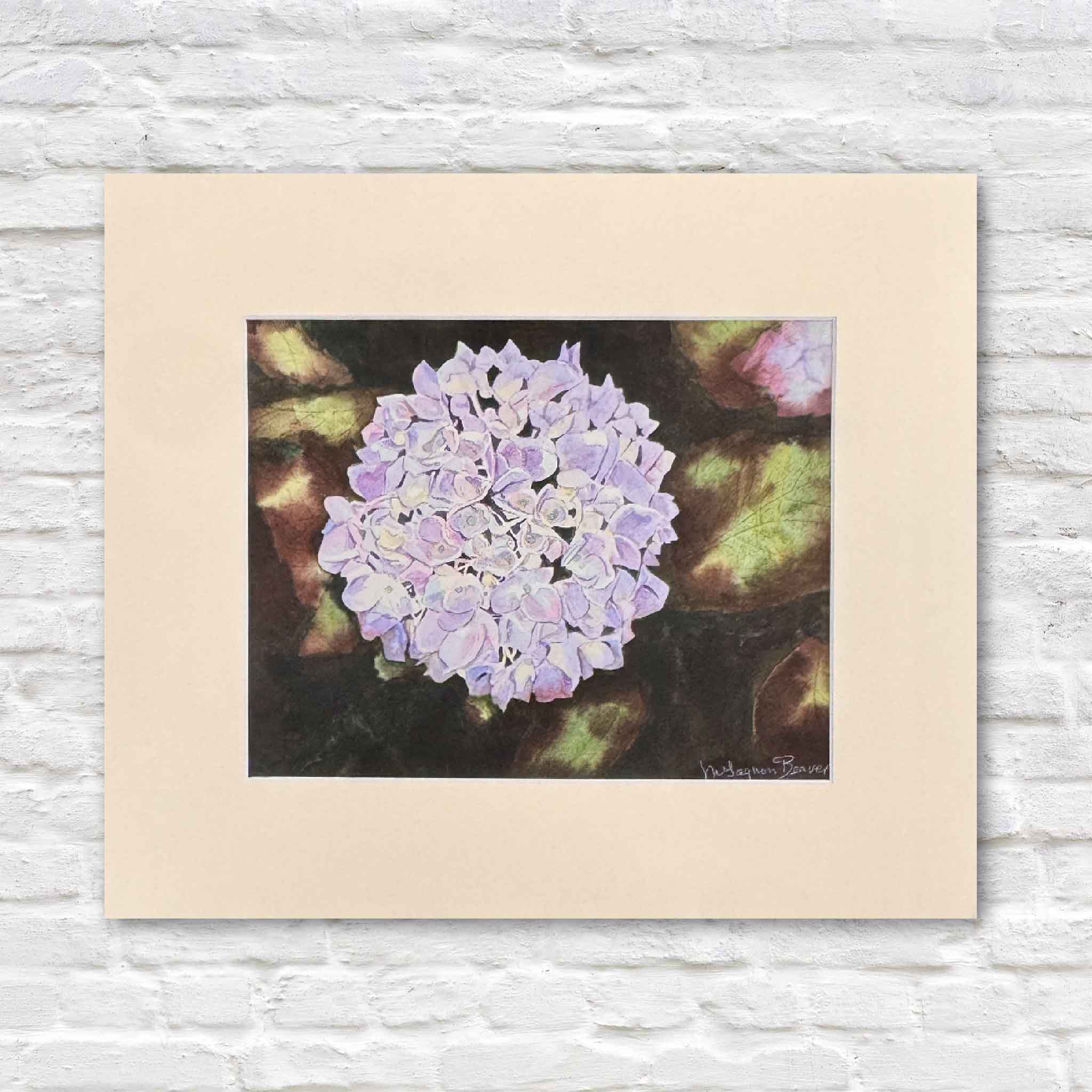 Print of Mimi Beaver’s hydrangea watercolor featuring a full lavender bloom surrounded by deep green foliage, donated to support senior dogs.