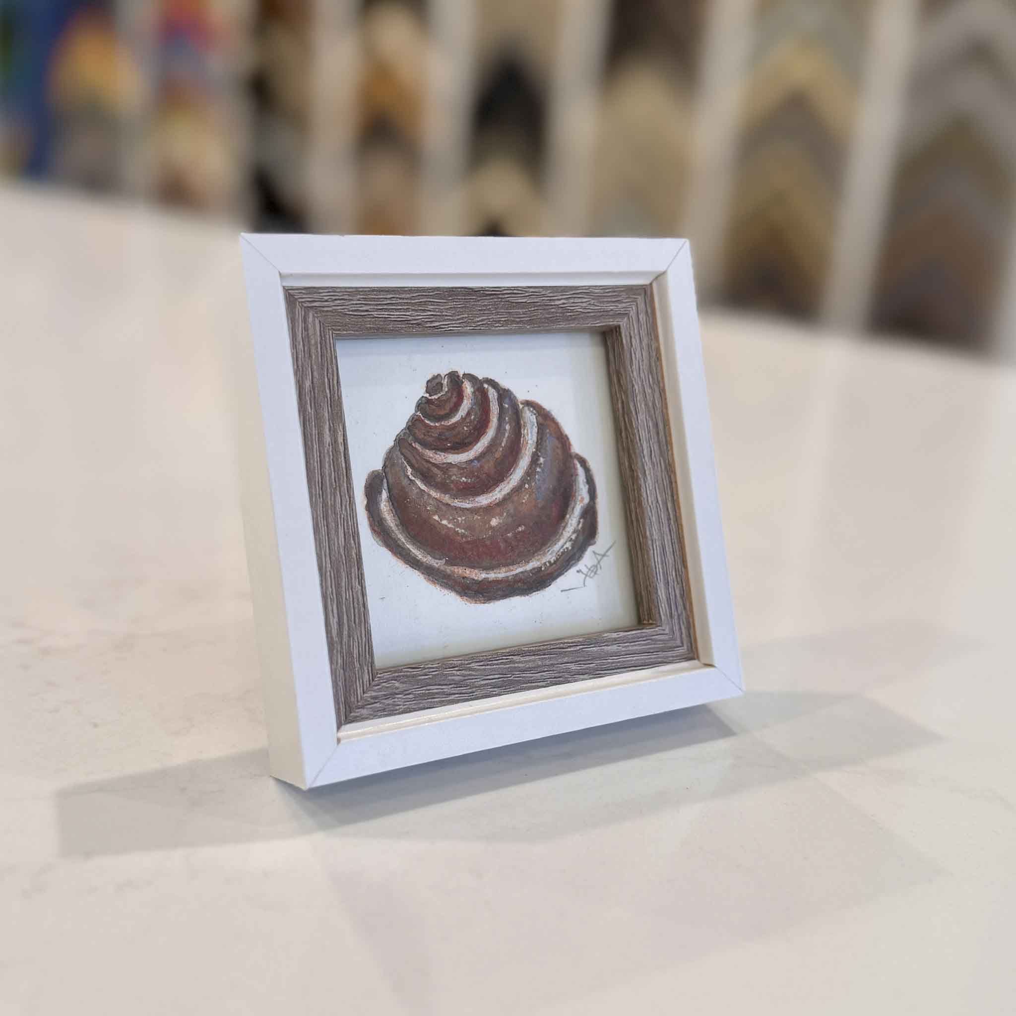A small framed Pawleys Island shell original watercolor by local artist Vida Miller, photographed inside Gray Man Gallery in Pawleys Island, South Carolina.