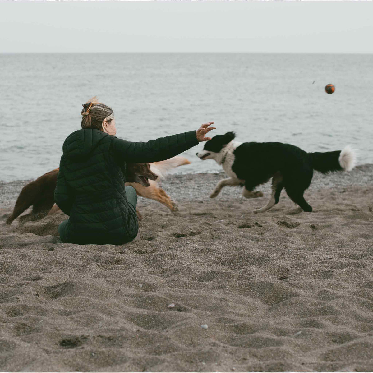 A woman plays fetch with three joyful dogs along the shoreline, representing the Mimi Beaver Giving Collection at Gray Man Gallery in Pawleys Island, which donates 100% of profits to animal rescues.
