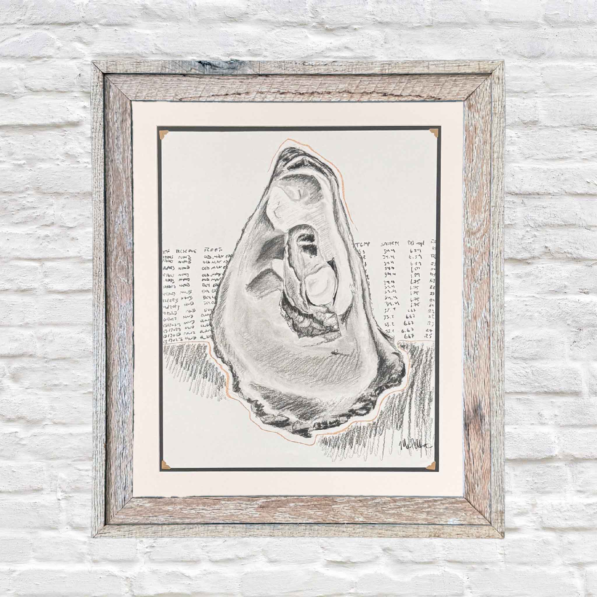 Original charcoal drawing of a North Inlet oyster, matted to 20x24 inches for standard framing, shown framed as an example at Gray Man Gallery in Pawleys Island, South Carolina. This contemporary coastal artwork explores the relationship between oysters and water quality, highlighting the oyster’s role as a natural filter feeder in a pristine Lowcountry estuary.