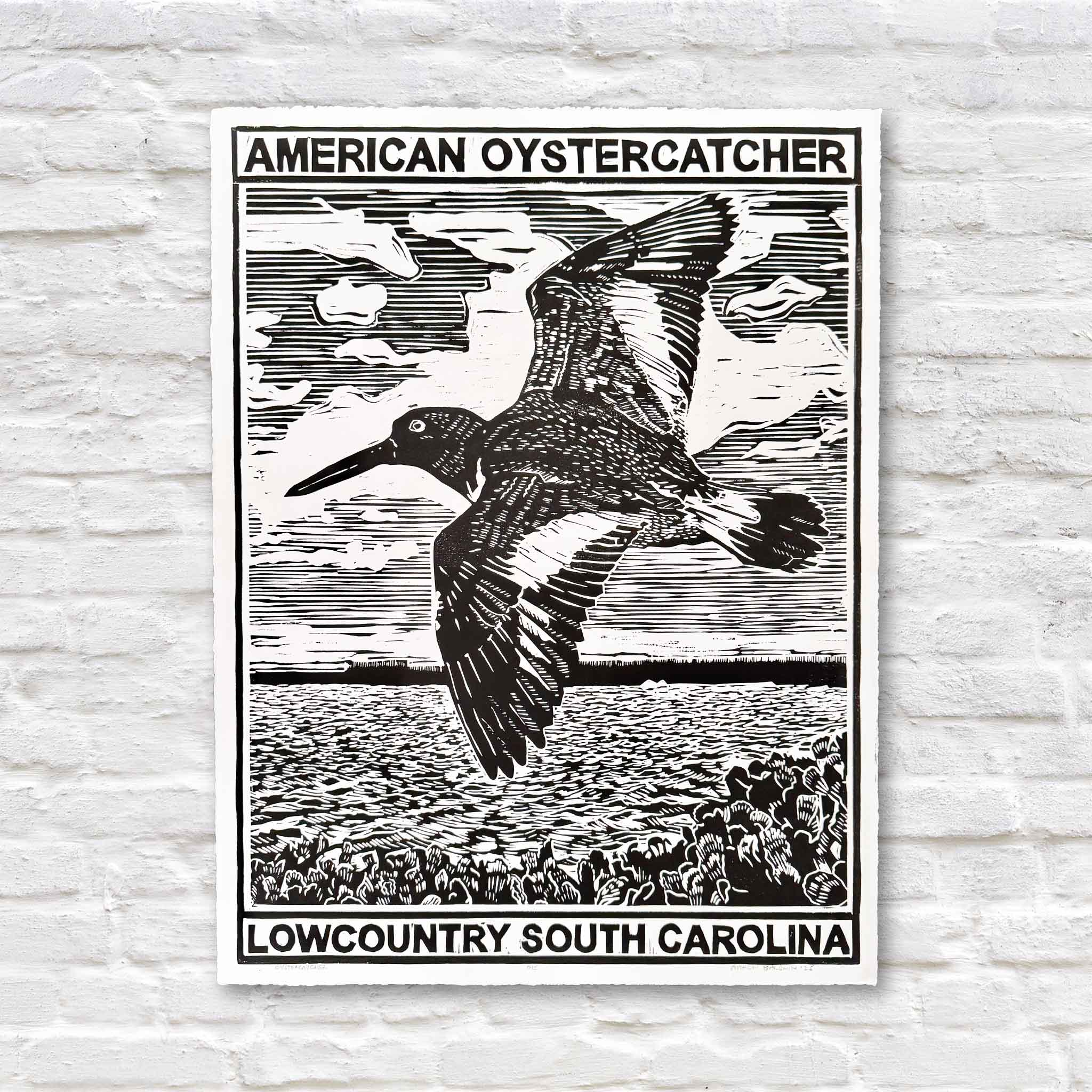 Oystercatcher linocut print by Aaron Baldwin in black ink, featuring a coastal bird in flight over a Lowcountry marsh.