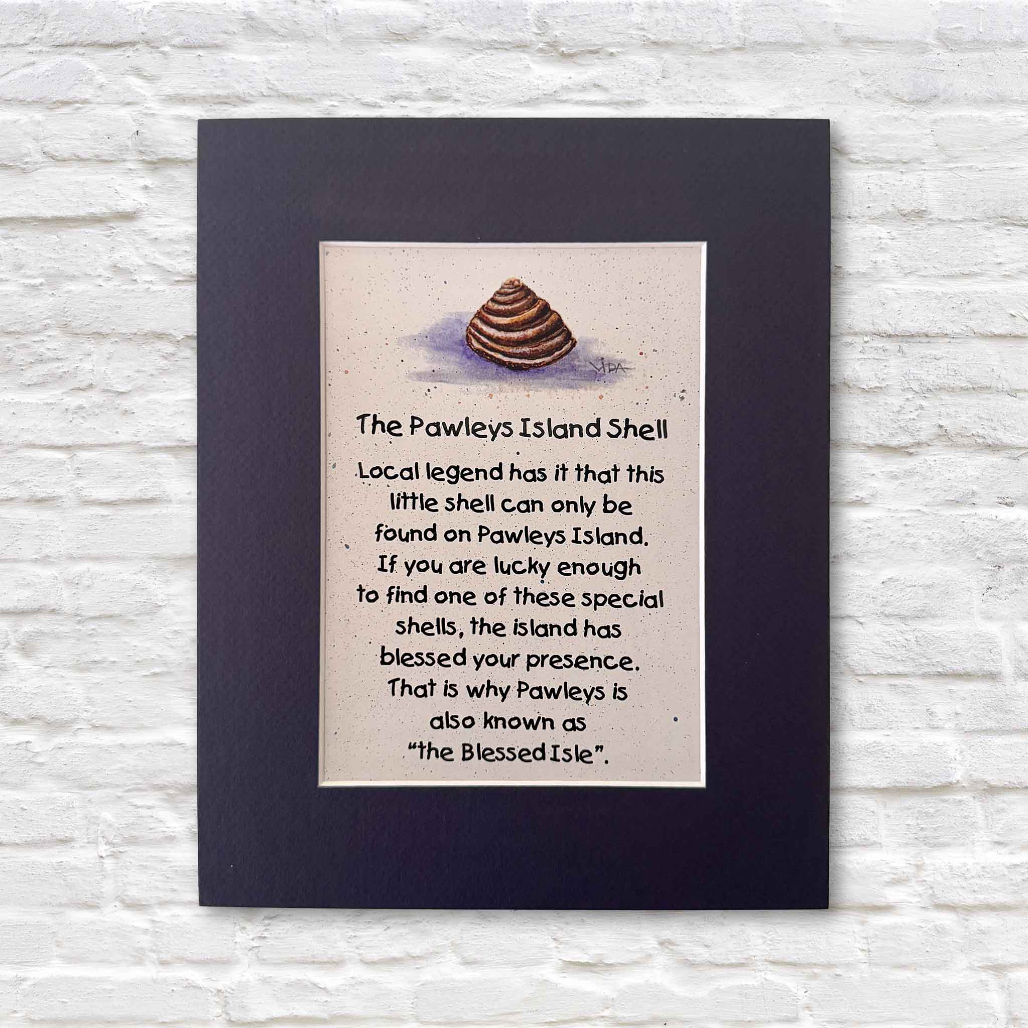 Pawleys Island Shell Legend by Vida Miller, a matted coastal art print featuring a watercolor illustration of the iconic Pawleys Island shell and the beloved Lowcountry legend that gives Pawleys its nickname, The Blessed Isle, photographed on a white brick background at Gray Man Gallery.