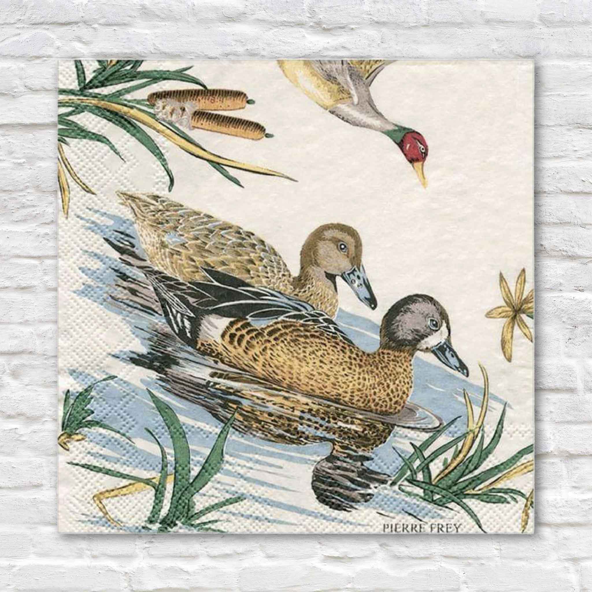 Pierre Frey Sologne Cocktail Napkins by Caspari featuring beautifully illustrated ducks swimming through marsh grasses with a mallard flying overhead. These premium triple-ply paper cocktail napkins combine classic sporting artwork with European craftsmanship and are available at Gray Man Gallery in Pawleys Island, South Carolina.