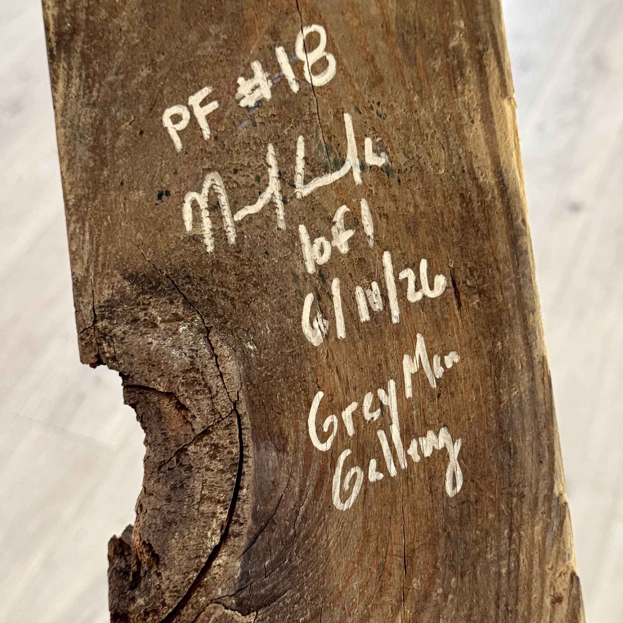 Back of Pufferfish #18 mixed media wall sculpture showing artist signature and edition number by Charleston artist Nick Kawczynski. Made for Gray Man Gallery in Pawleys Island, South Carolina.