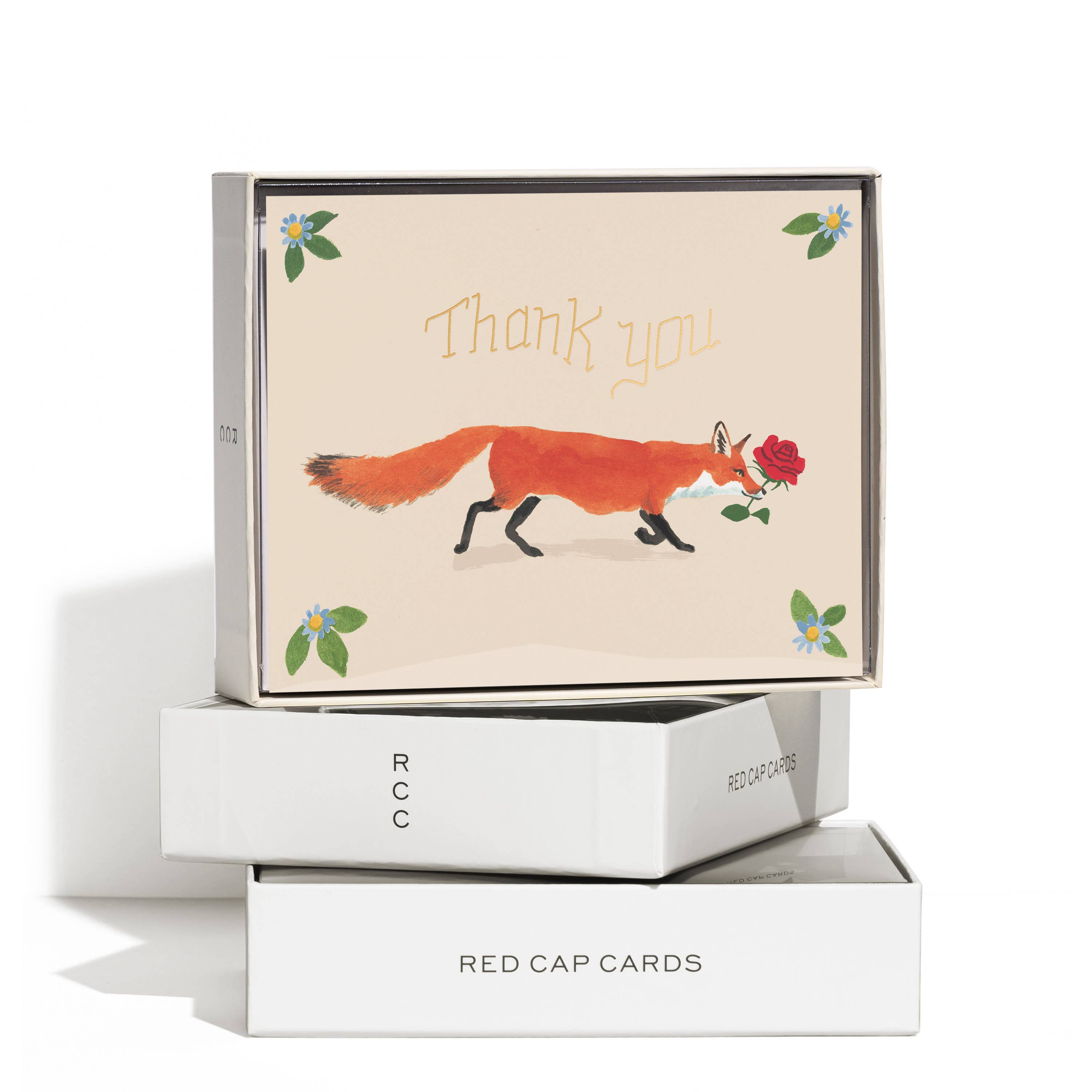 Boxed set of Thank You Fox greeting cards by Danielle Kroll displayed in Red Cap Cards gift packaging. Each card features a graceful red fox carrying a single rose beneath elegant gold foil "Thank You" lettering with delicate blue floral accents. Available at Gray Man Gallery in Pawleys Island, South Carolina, this premium boxed stationery set includes eight beautifully illustrated thank-you cards and matching envelopes, perfect for weddings, hostess gifts, business correspondence, and everyday expressions 