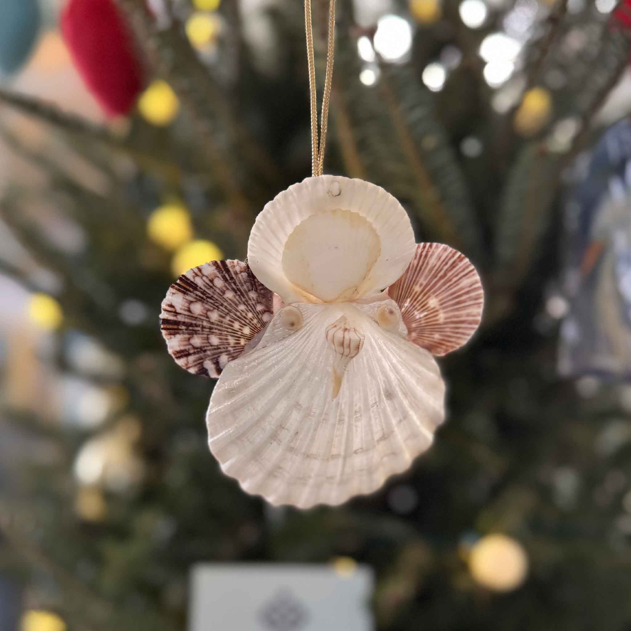 The shell angel ornament hangs on a Christmas tree, showing its detailed scallop wings and natural coastal textures.